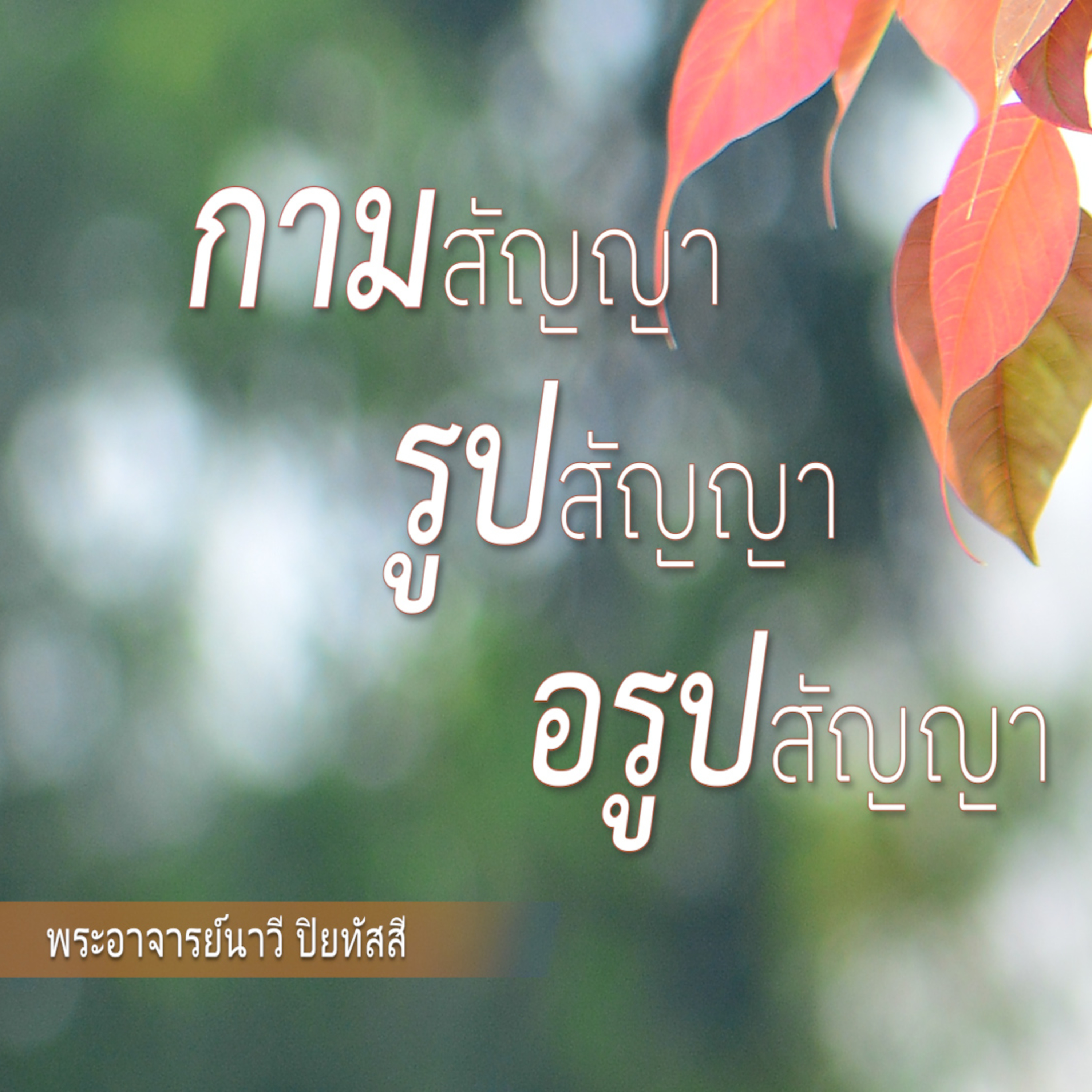 กามสัญญา รูปสัญญา อรูปสัญญา Group Sitting 2023-03-26 episode artwork
