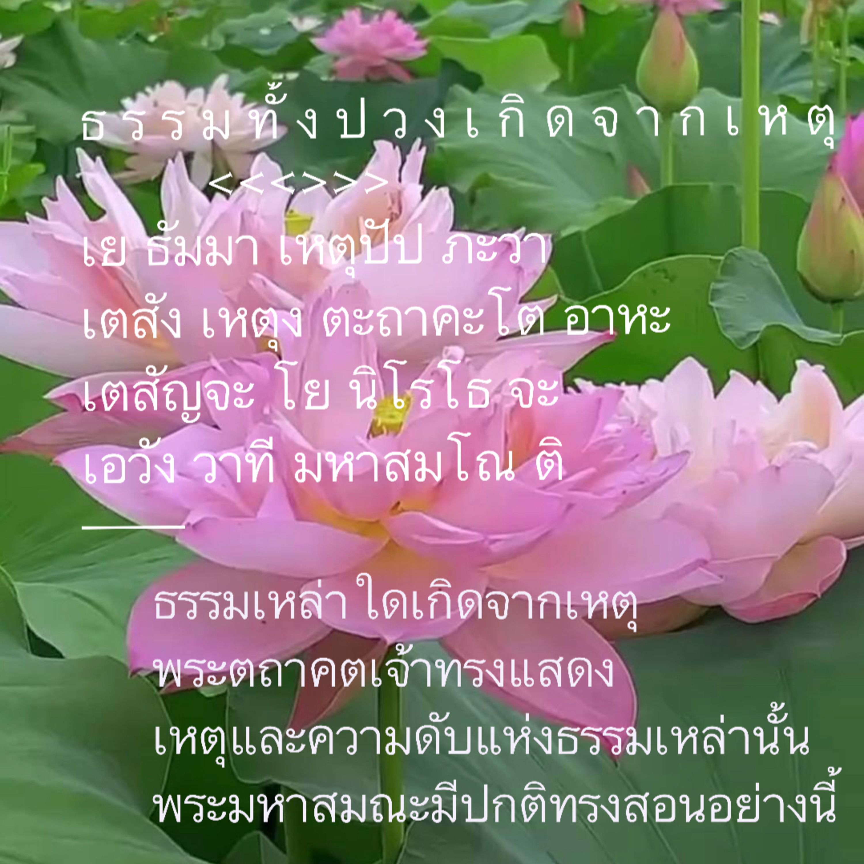 เย ธัมมา เหตุปัป ภะวา... ธรรมเหล่าใดเกิดจากเหตุ... Group Sitting2023-09-17 episode artwork
