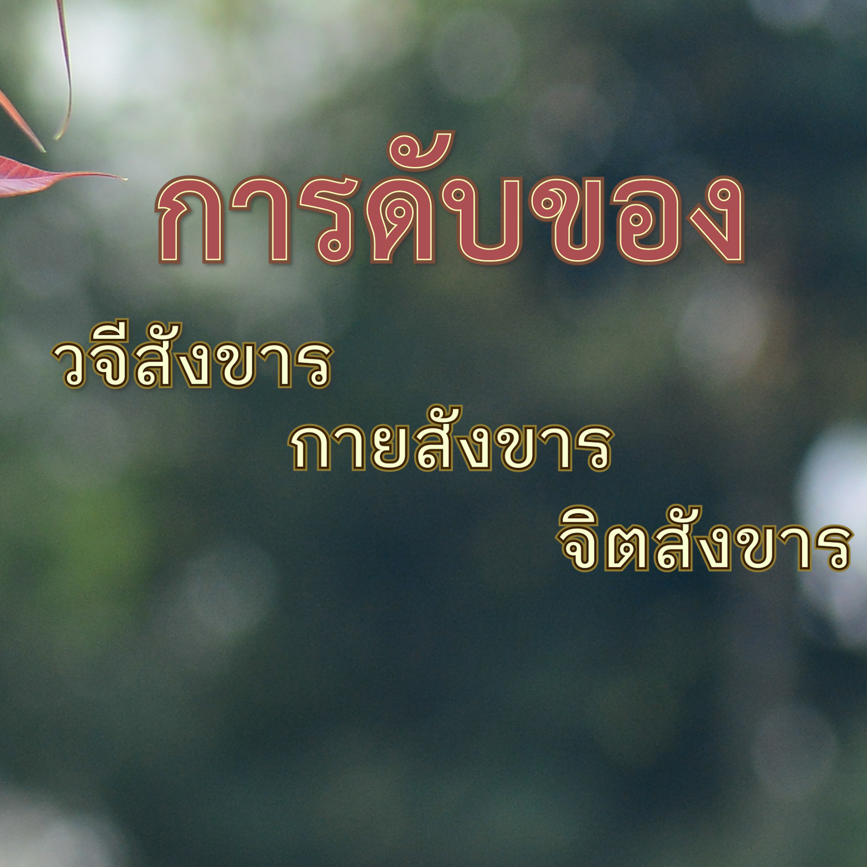 การดับของ วจีสังขาร กายสังขาร จิตสังขาร Group Sitting 2023-09-24 episode artwork