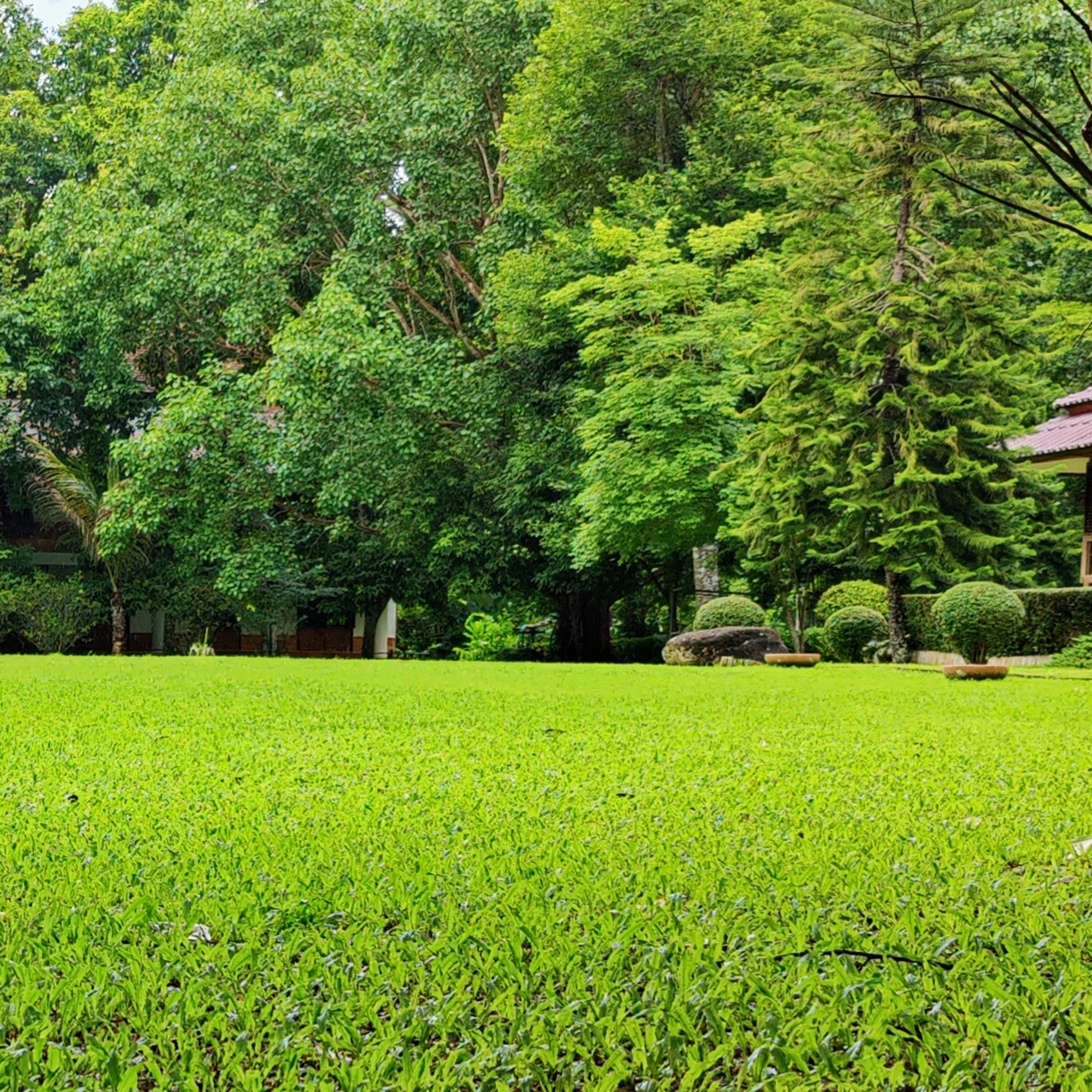 วิชาความสุข Group Sitting 2023-10-01