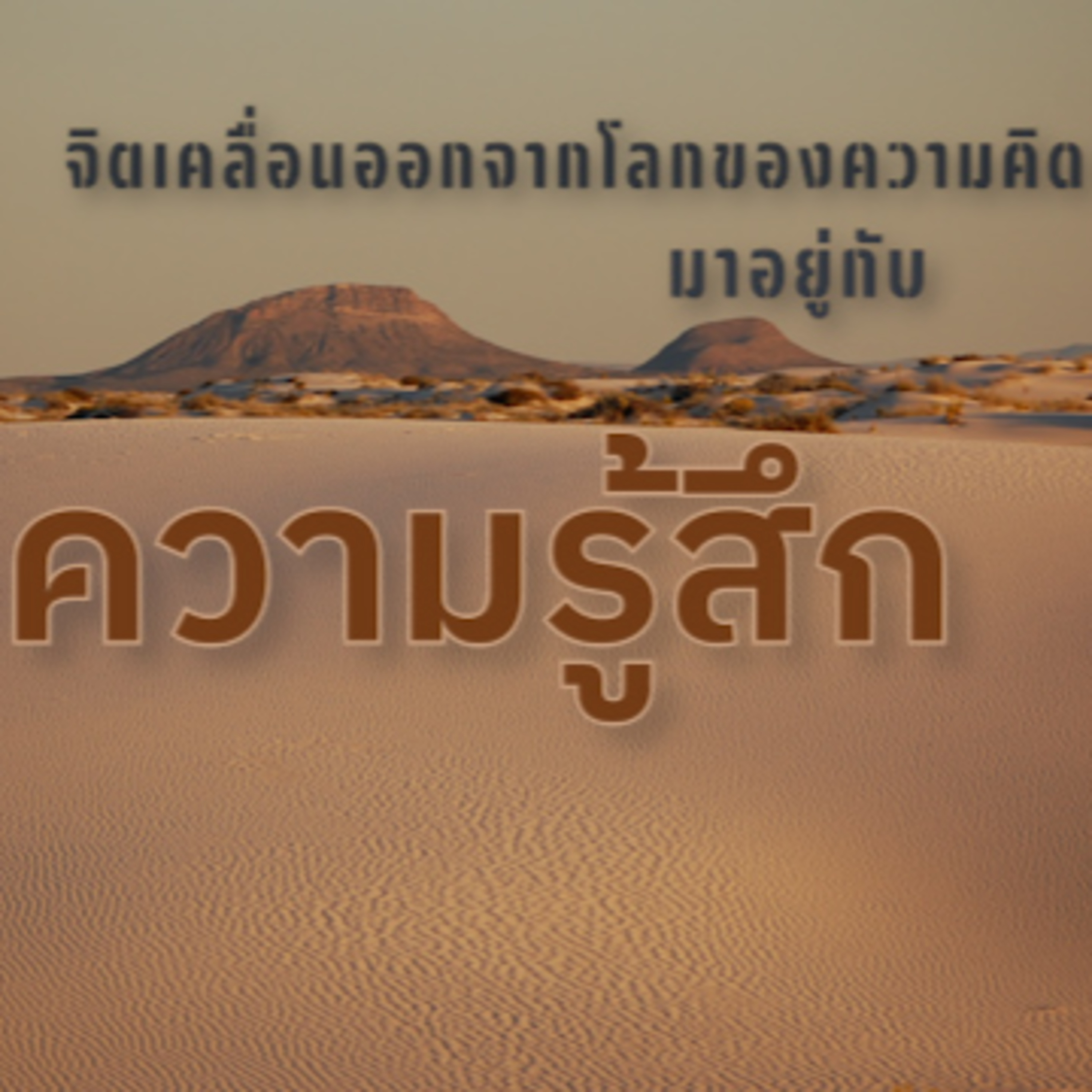 จิตเคลื่อนออกจาก​โลกแห่งความคิดมาอยู่กับความรู้สึก Group Sitting 202-11-05 episode artwork