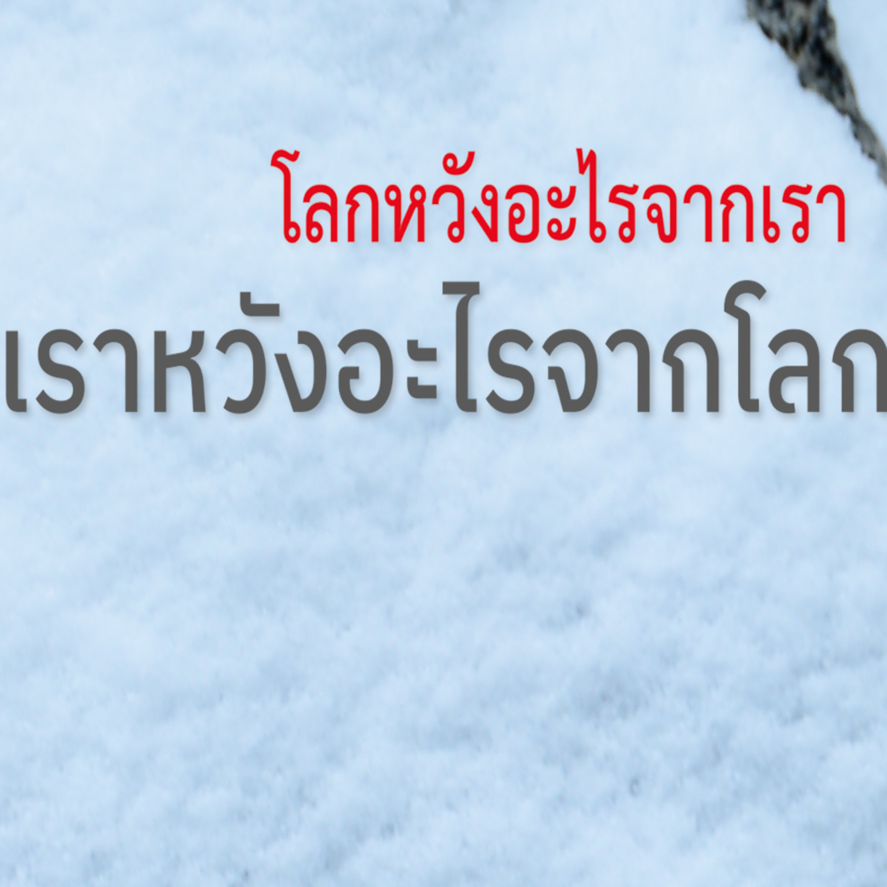โลกหวังอะไรจากเรา เราหวังอะไรจากโลก Group Sitting 2023-12-24 episode artwork