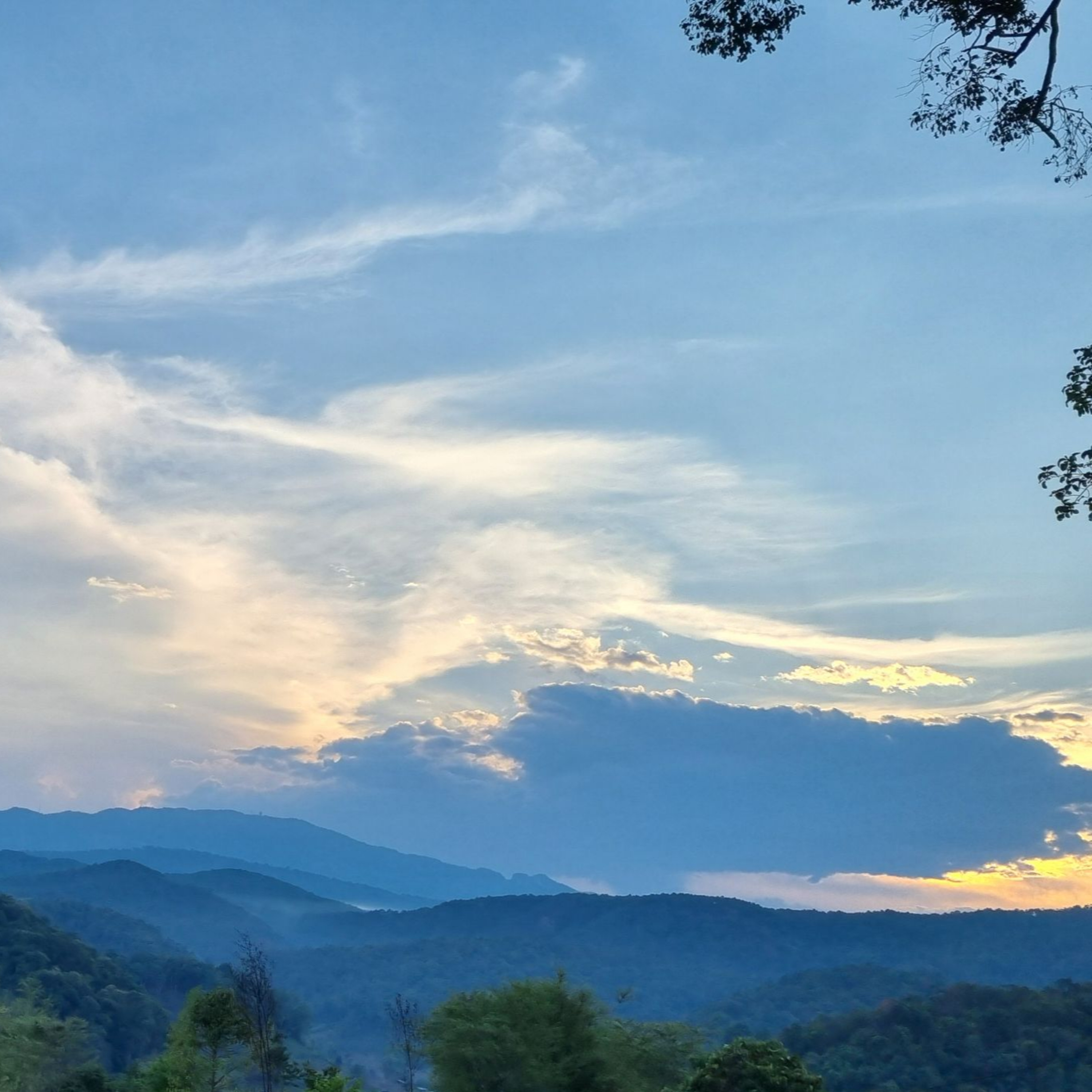 สมาธิวิถี วิปัสสนาวิถี มัคควิถี Group Sitting2024-05-12