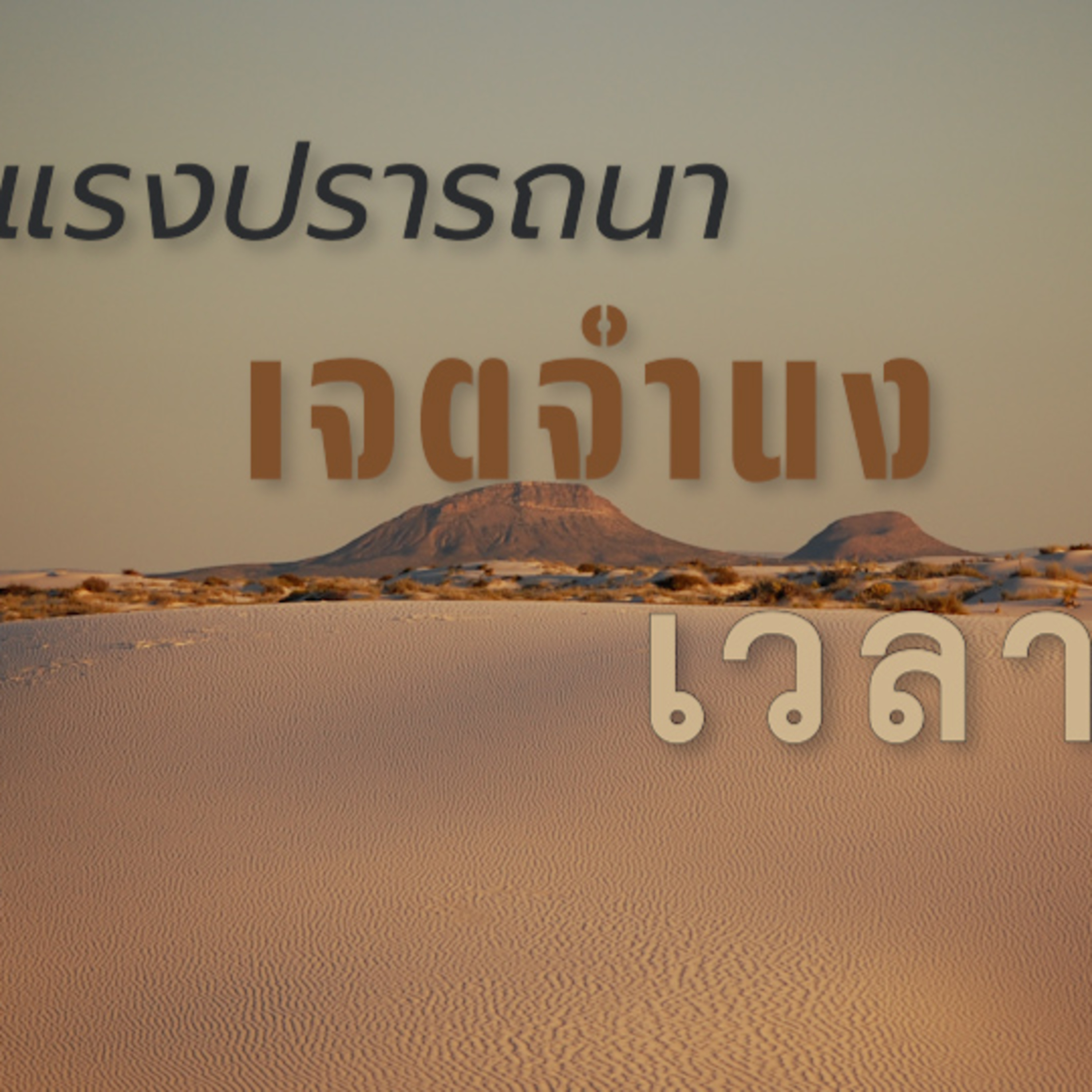 แรงปรารถนา เจตจำนง เวลา Group Sitting 2024-08-04