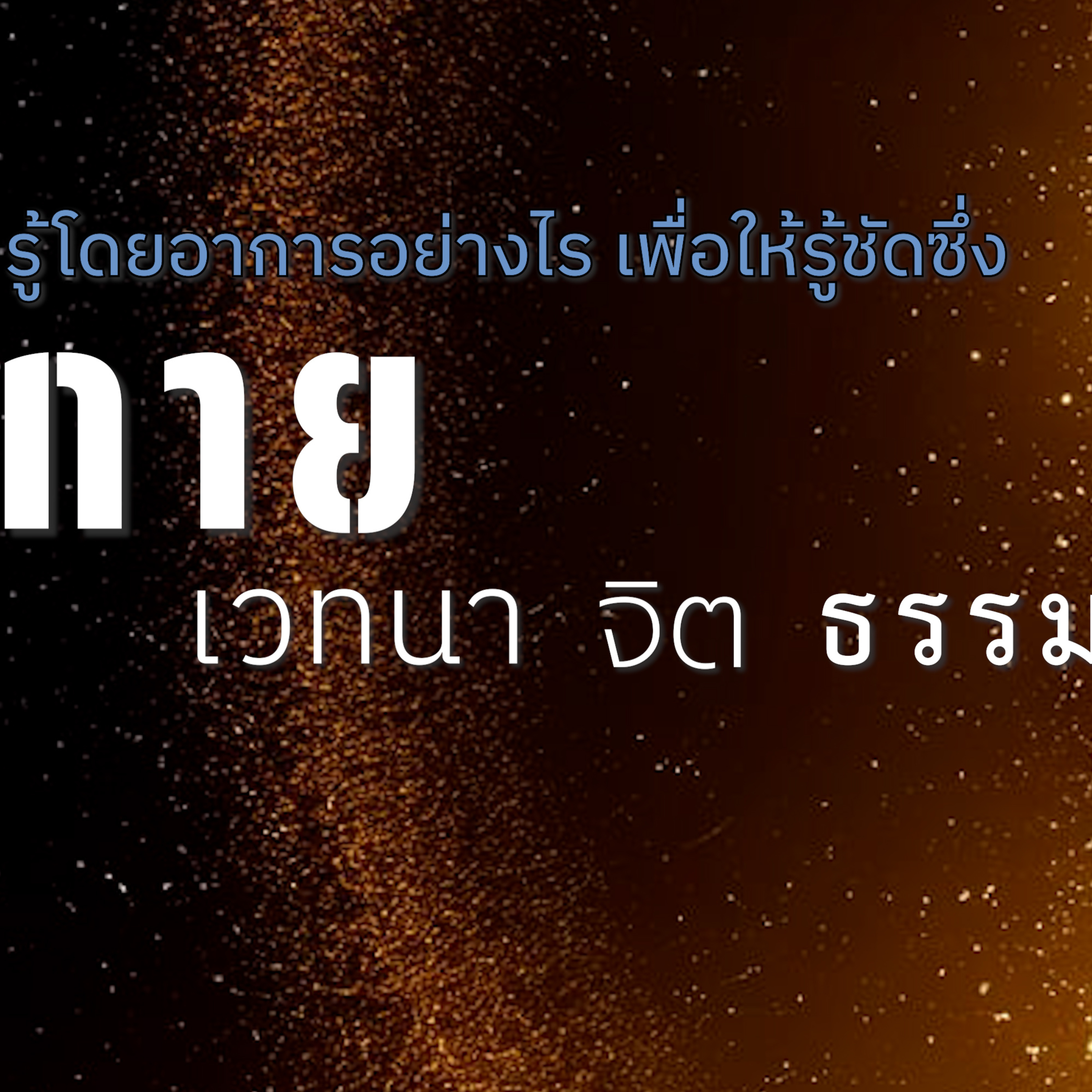 รู้โดยอาการอย่างไร เพื่อให้รู้ชัดซึ่ง "กาย เวทนา จิต ธรรม" Group Sitting 2024-10-13 episode artwork