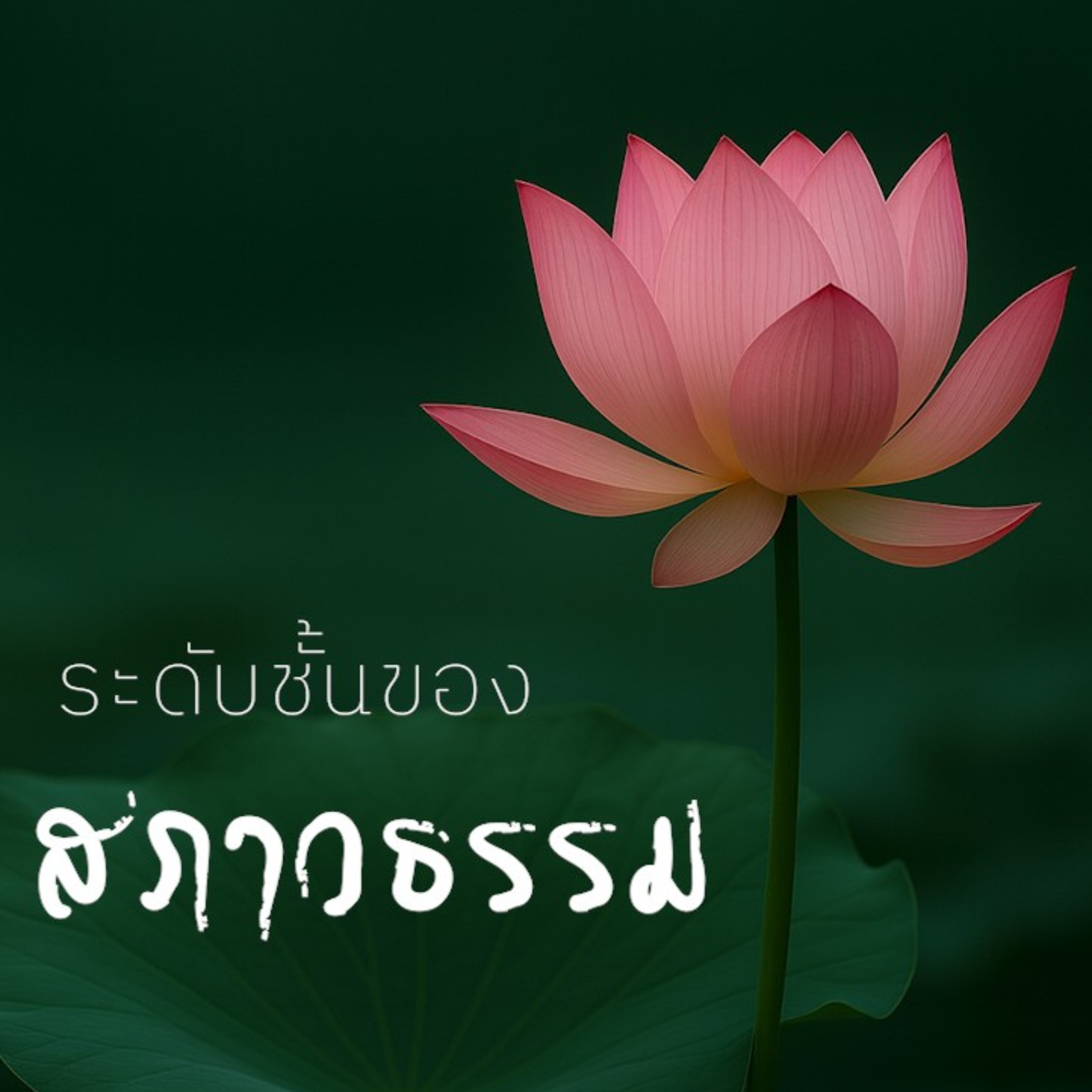 ระดับชั้นของสภาวธรรม Group Sitting 2025-11-23 episode artwork