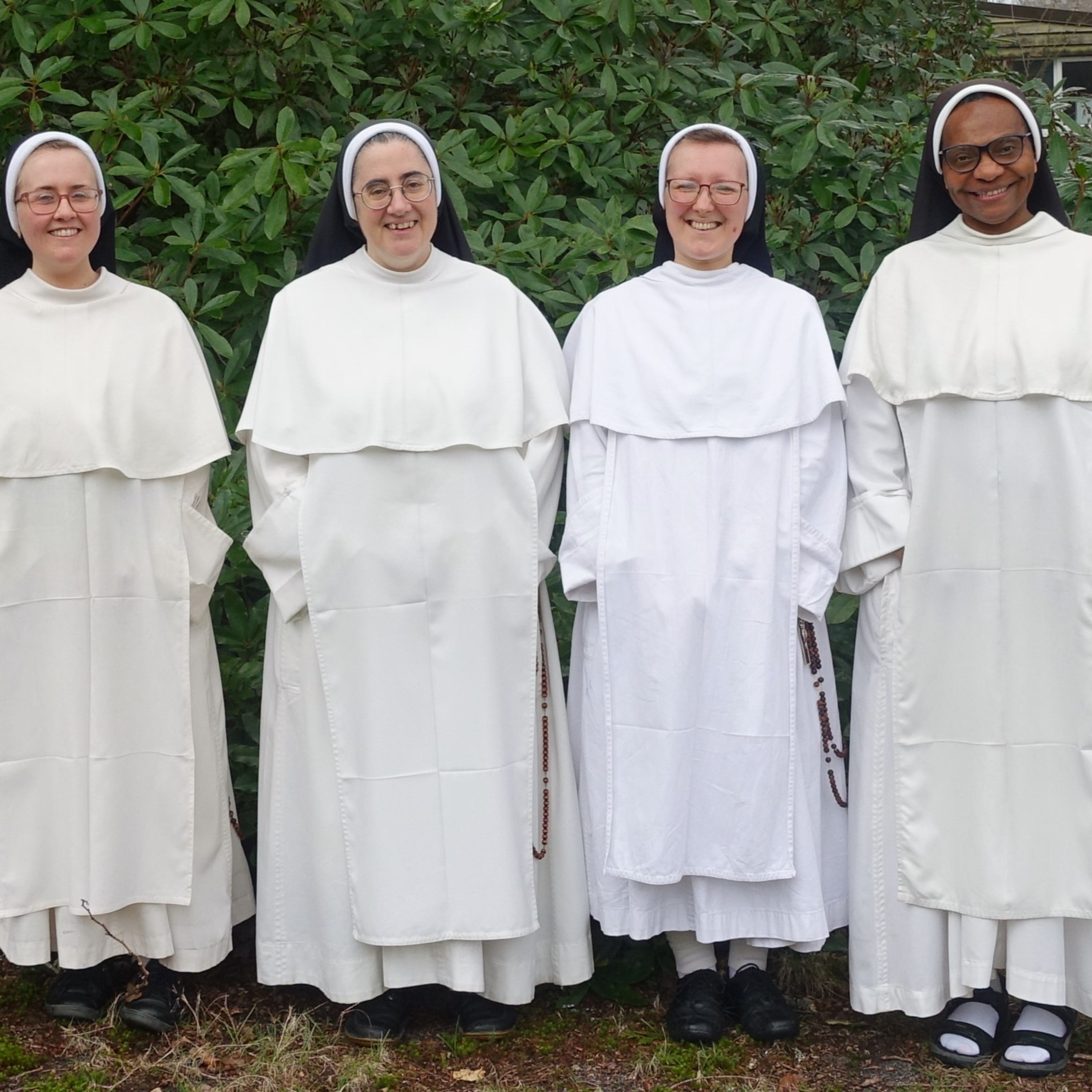 THE WORD IN 4D - John's Imprisonment and the Role of Signs in the Christian Life episode artwork