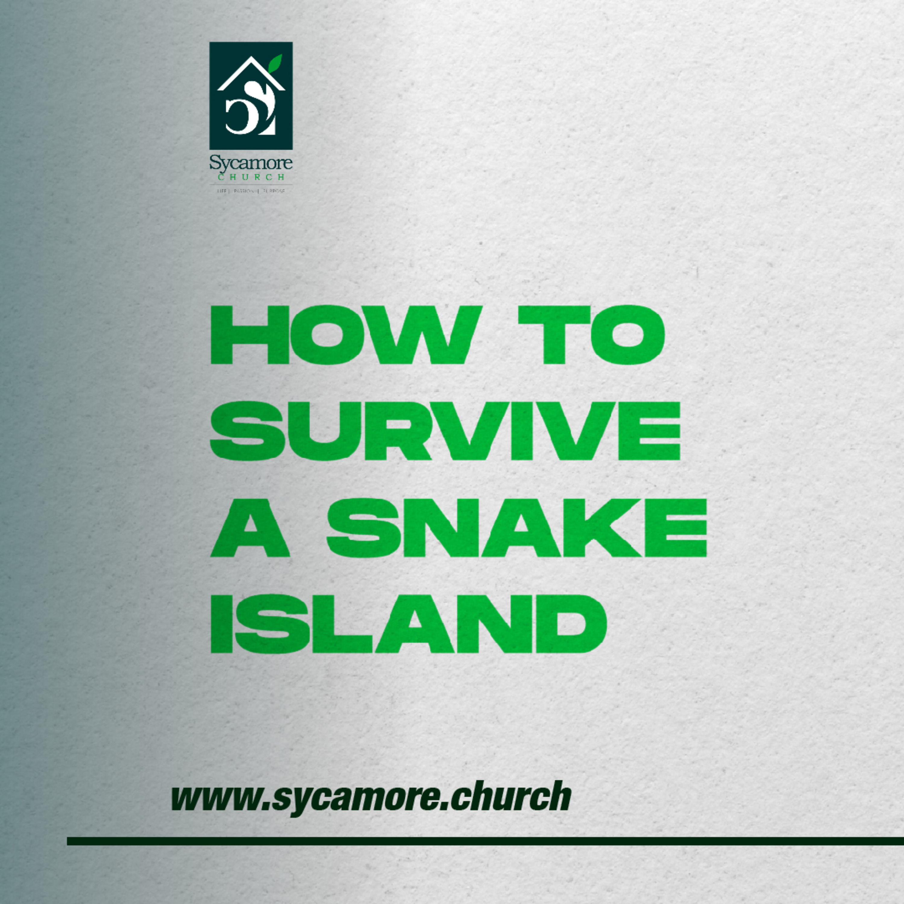 How To Survive A Snake Island | Pastor Tolulope Moody | Sycamore Church episode artwork