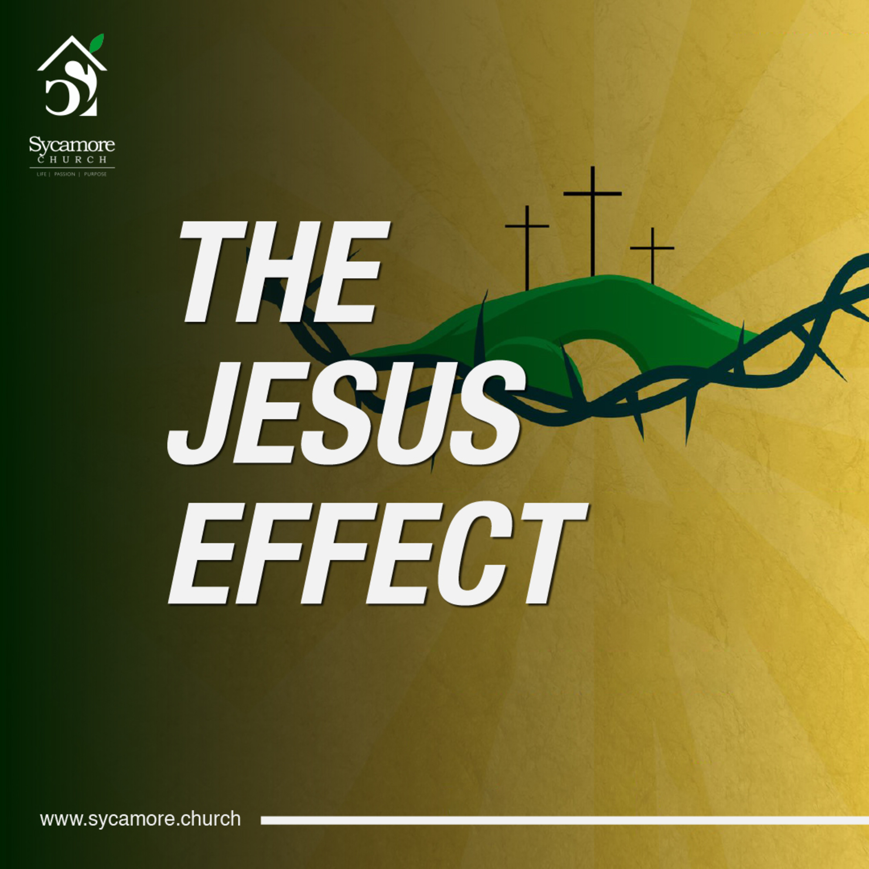 The Jesus Effect | Pastor Tolulope Moody episode artwork