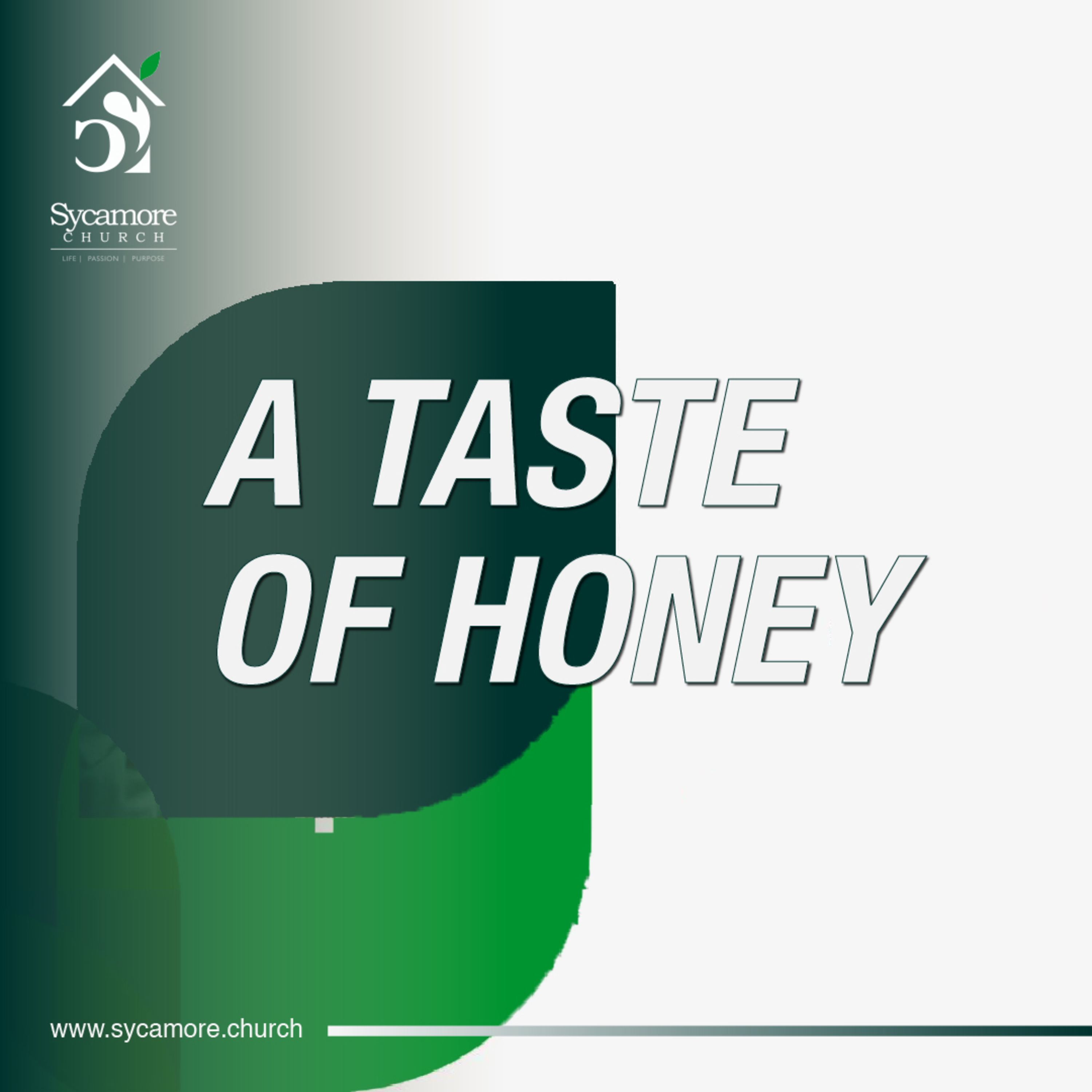 A Taste of Honey | 10th Anniversary Service | Pastor Tolulope Moody episode artwork