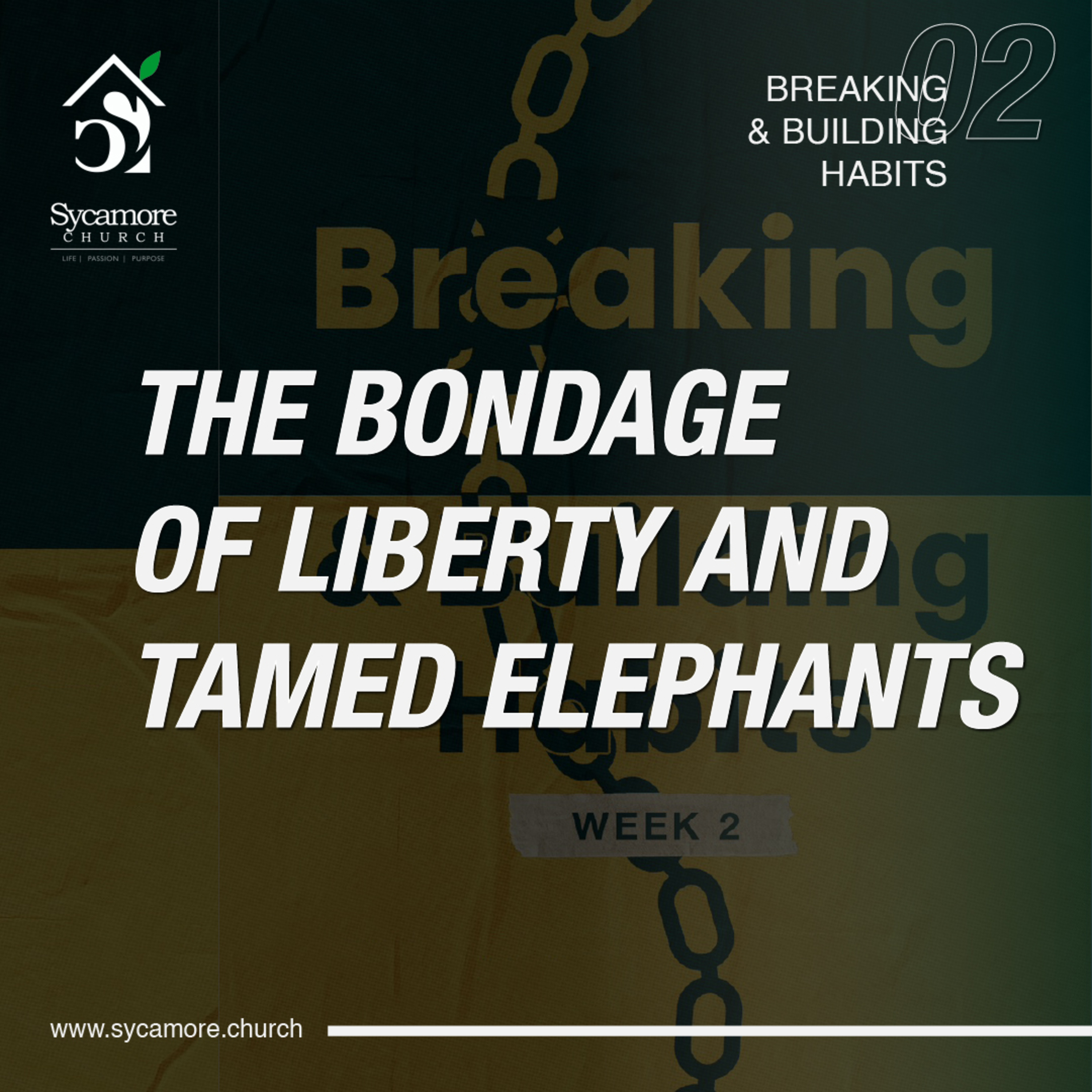 The Bondage of Liberty and Tamed Elephants | Breaking Habits | Pastor Tolulope Moody episode artwork