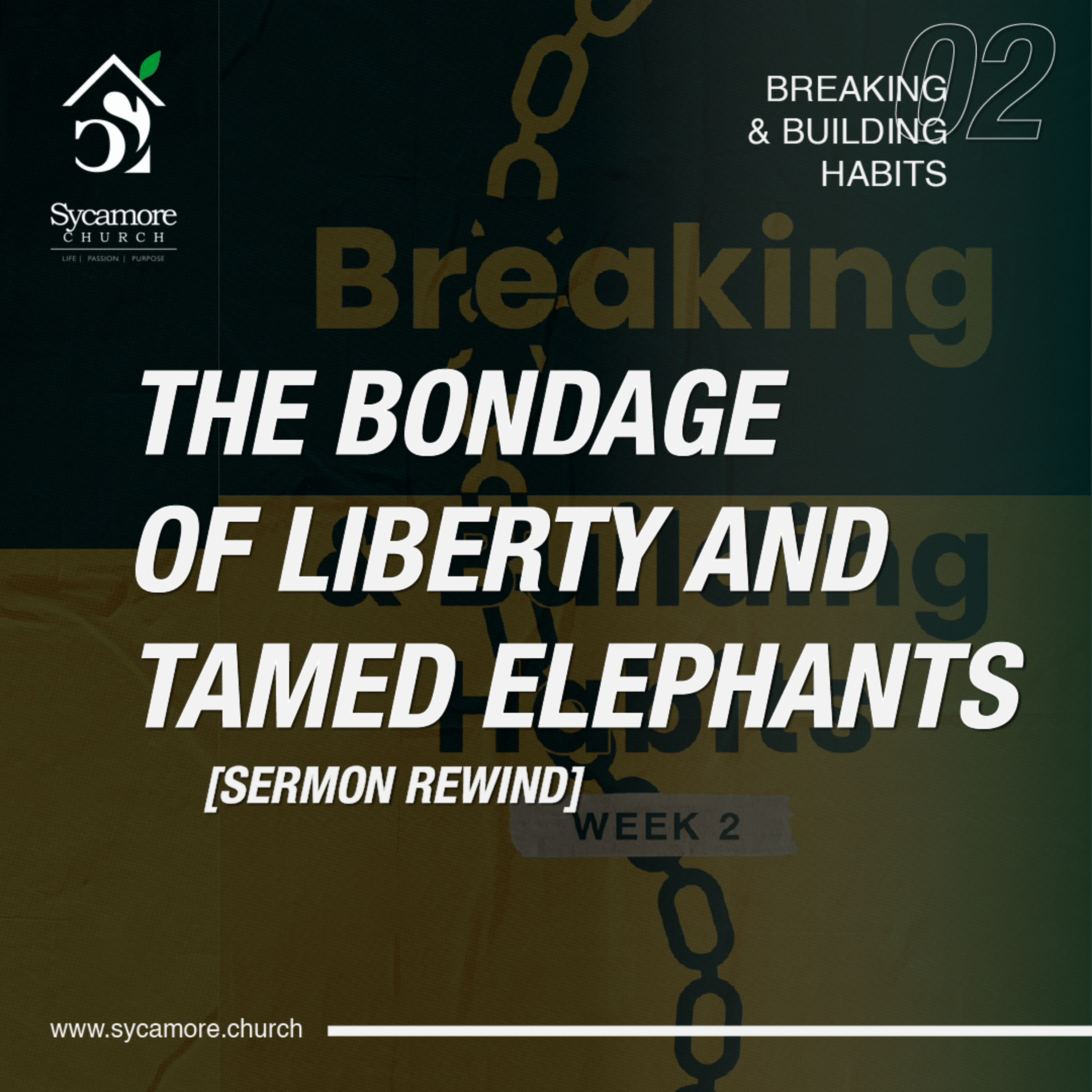 Sermon Rewind | The Bondage of Liberty and Tamed Elephants episode artwork