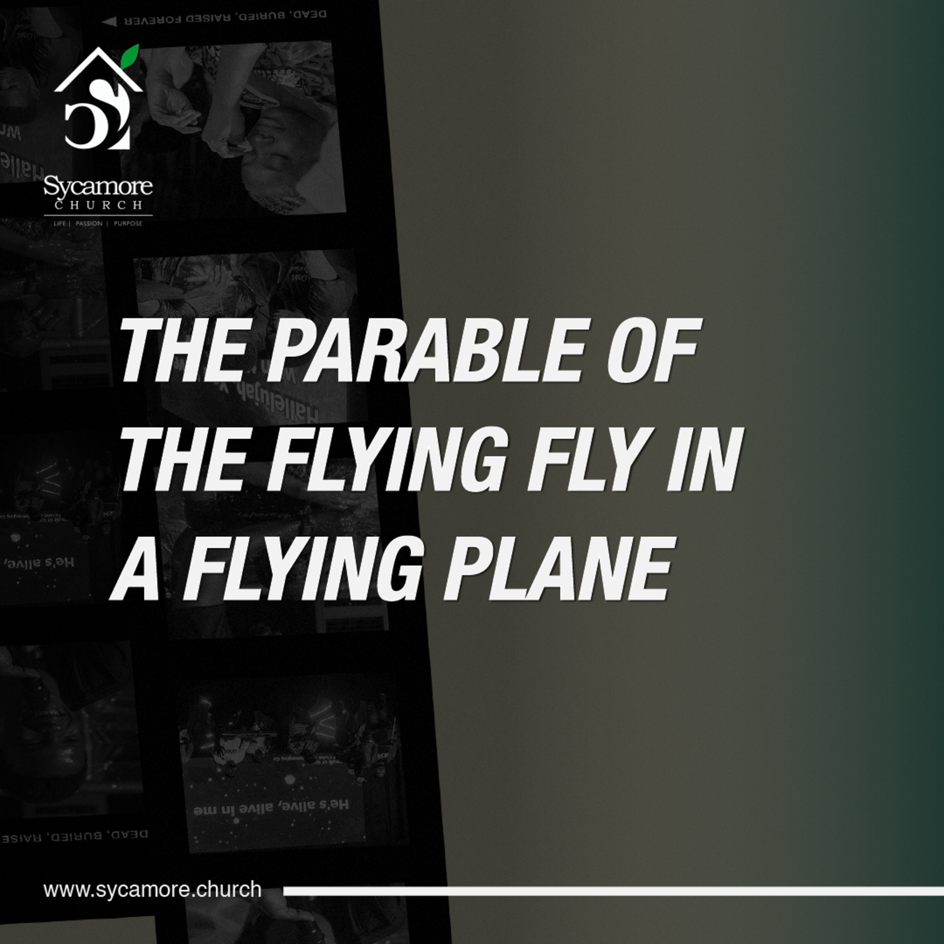 The Parable of the Flying Fly in a Flying Plane | Pastor Tolulope Moody episode artwork