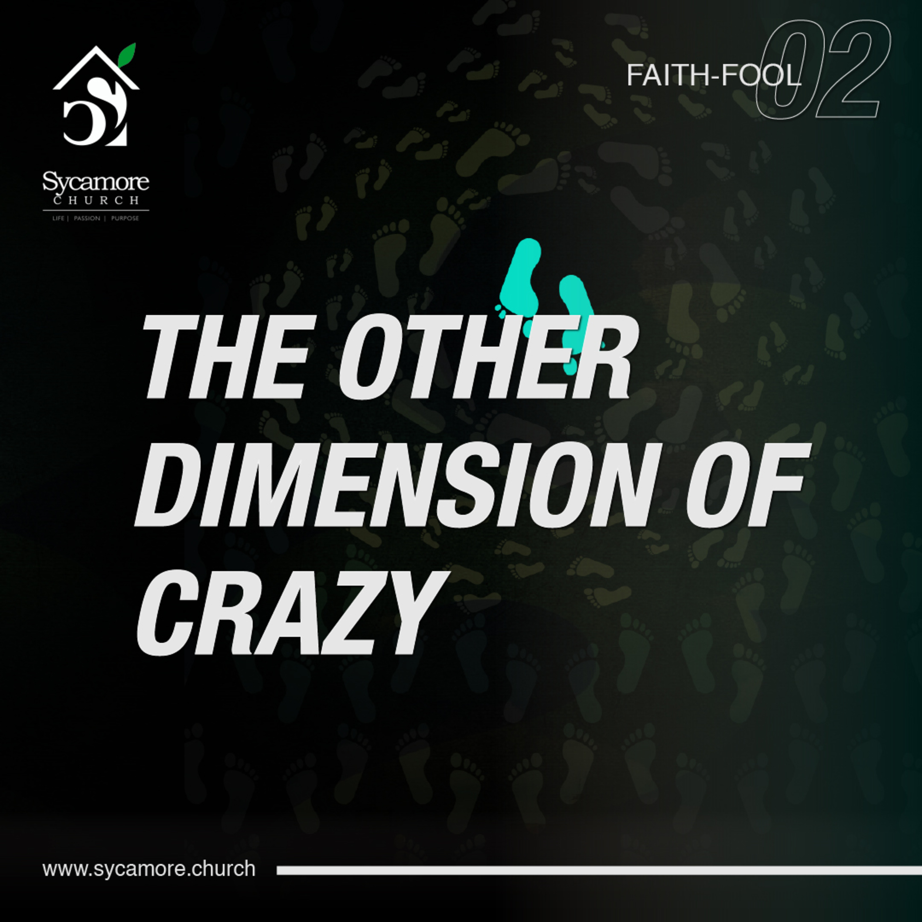 The Other Dimension Of Crazy | FaithFool Wk 2 | Pastor Tolulope Moody episode artwork