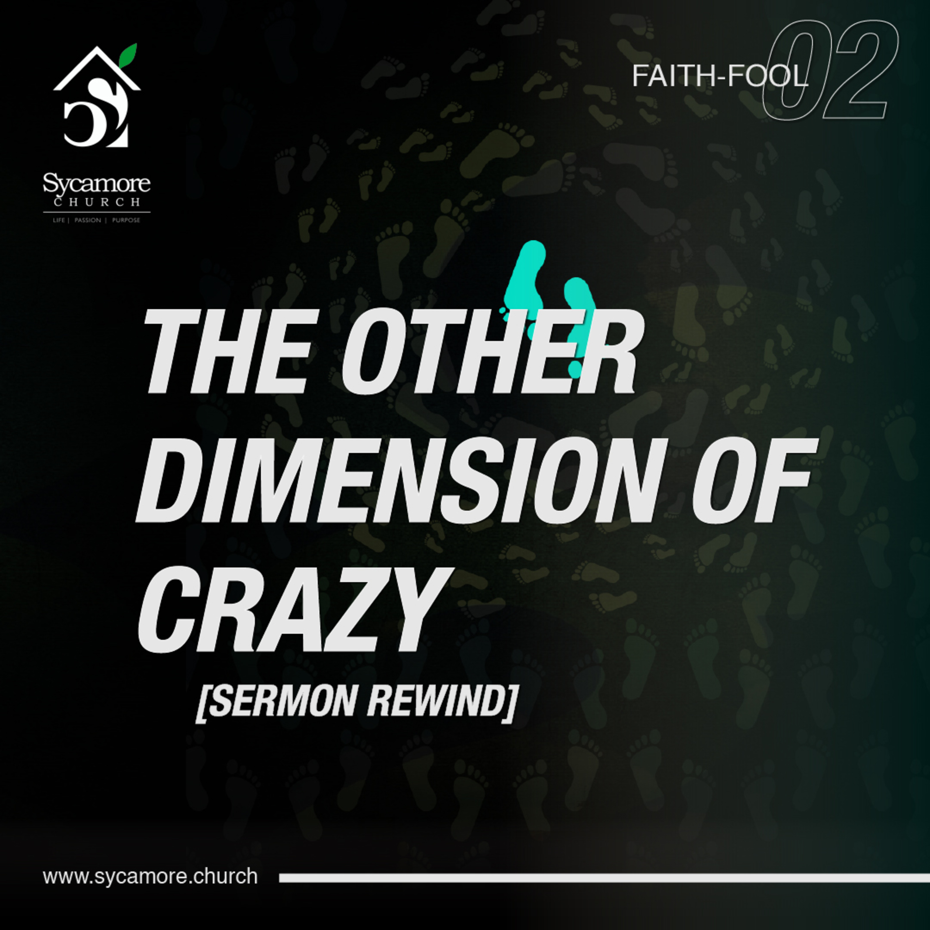 Sermon Rewind | The Other Dimension Of Crazy episode artwork