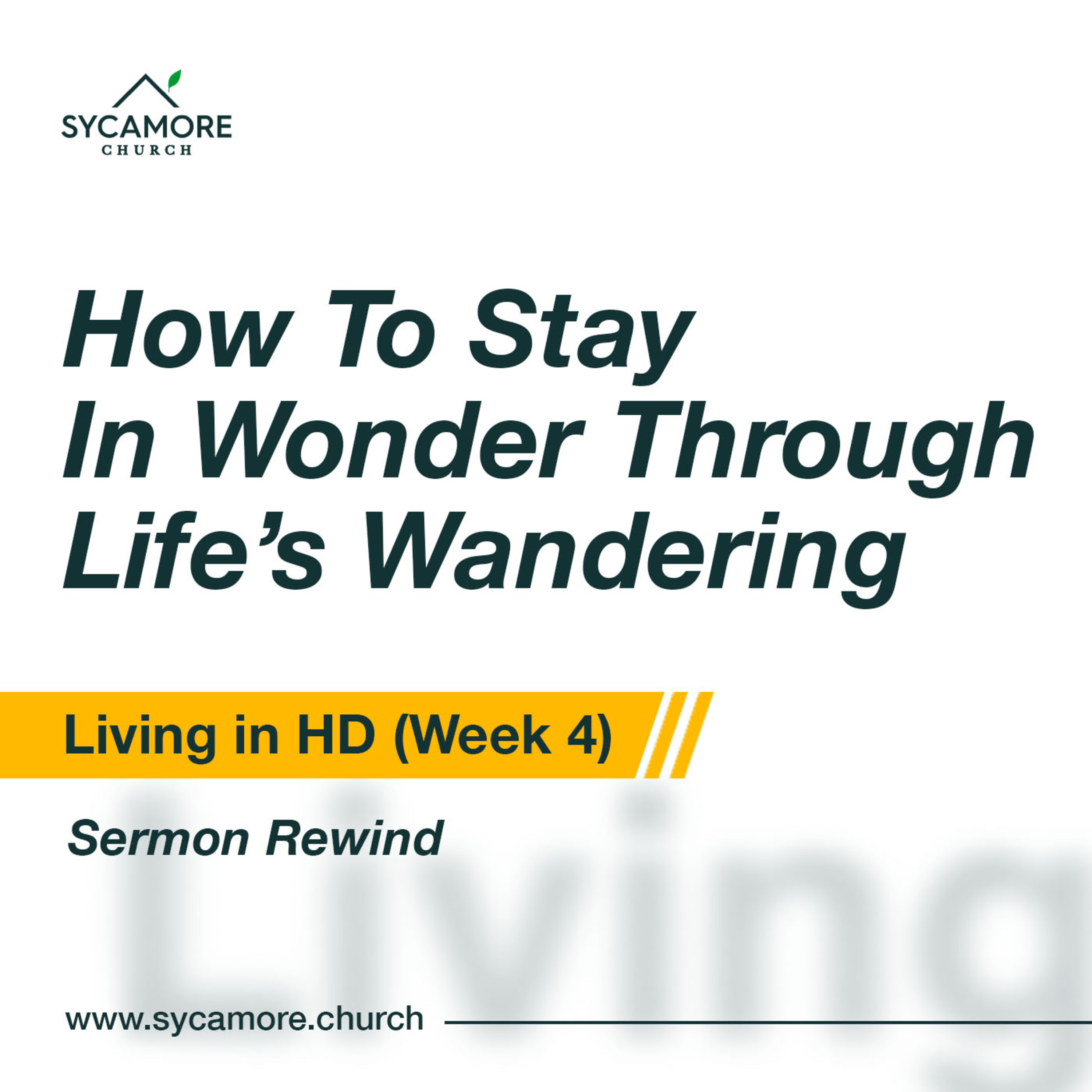 Sermon Rewind | How to Stay in Wonder Through Life's Wandering episode artwork