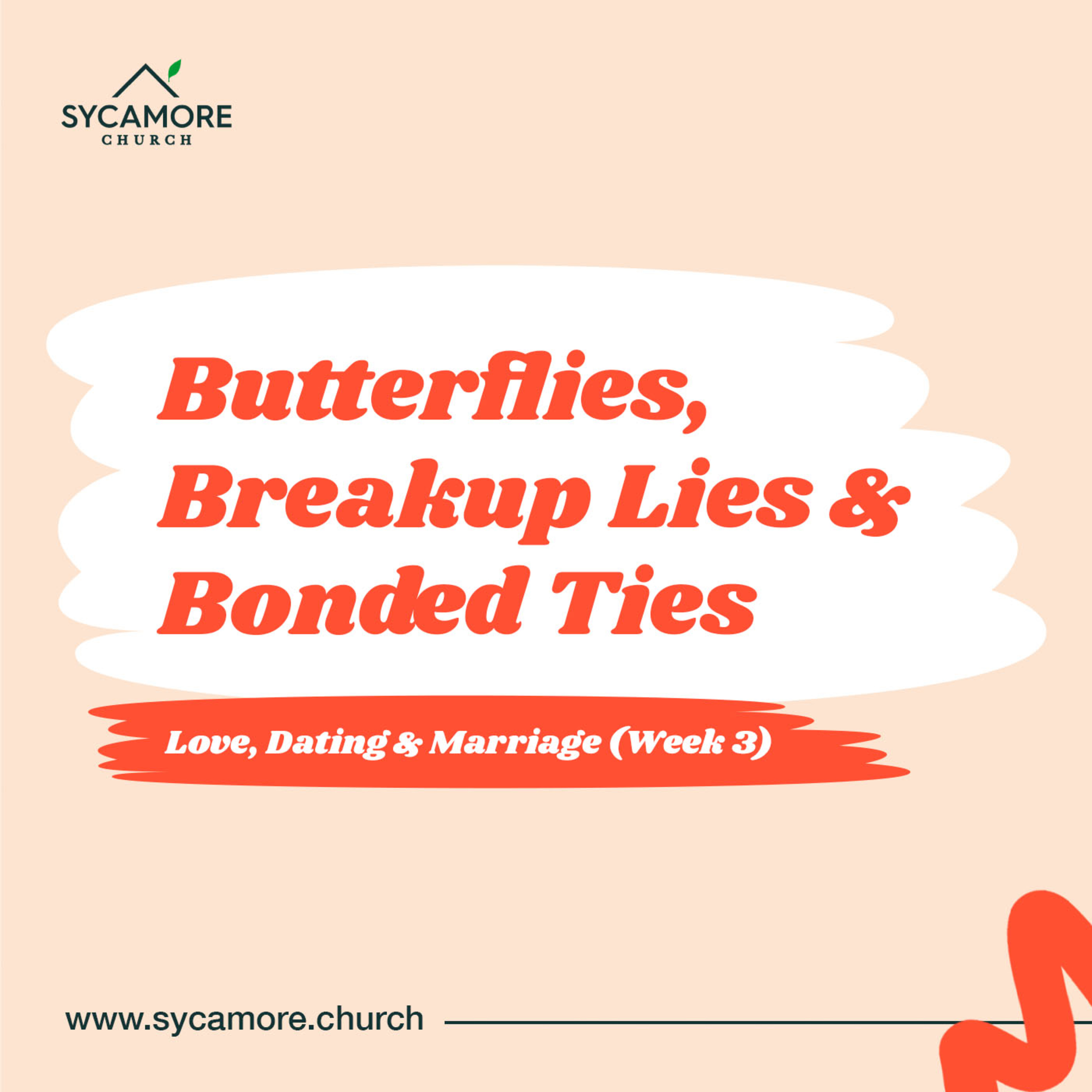 Butterflies, Breakup Lies and Bonded Ties | Love, Dating and Marriage Week 3 | Pastor Tolulope Moody episode artwork