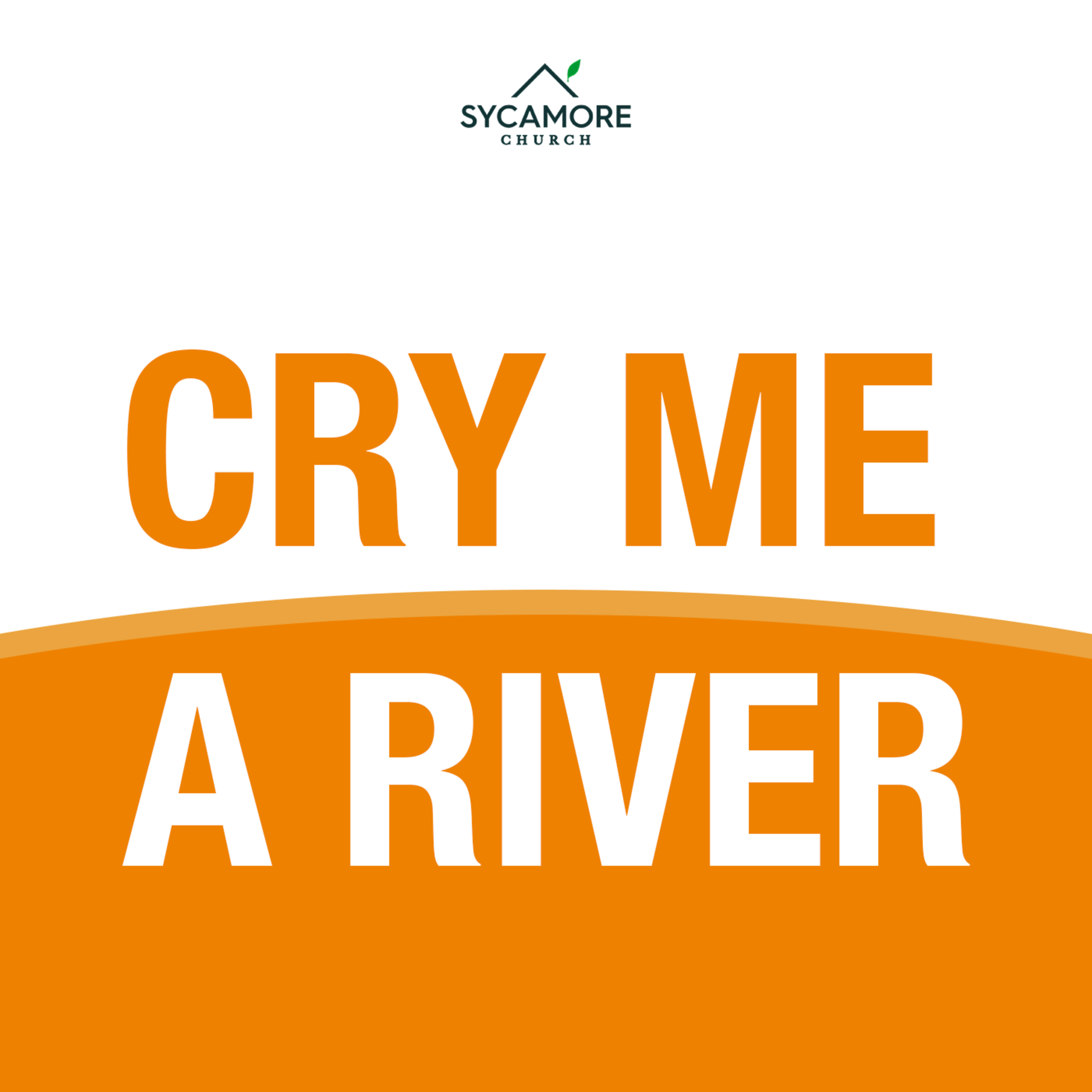 Cry Me A River | Mid-Year Focus Sunday | Pastor Tolulope Moody episode artwork