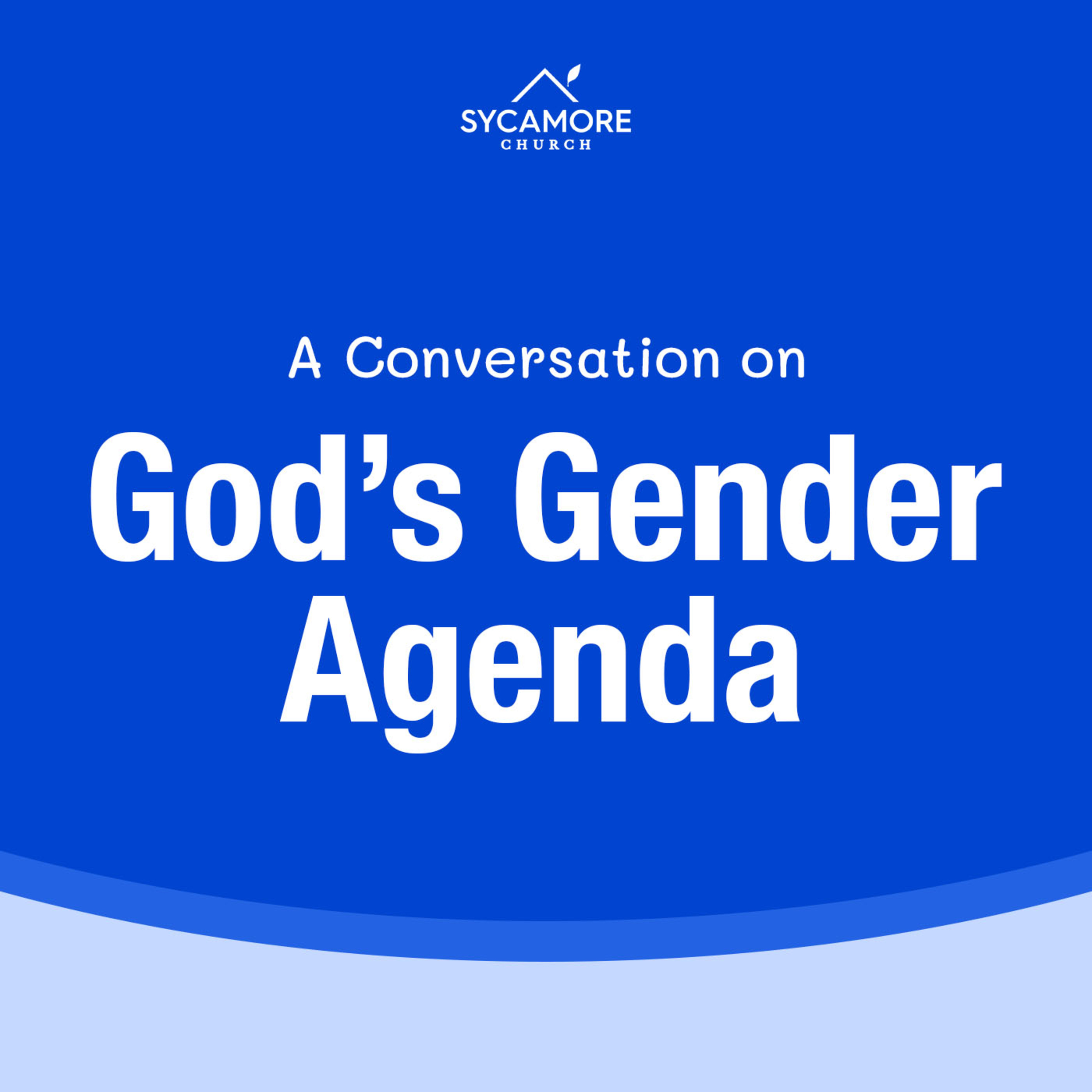 A Conversation With Christians on God’s Gender Agenda | Sundays At Sycamore episode artwork