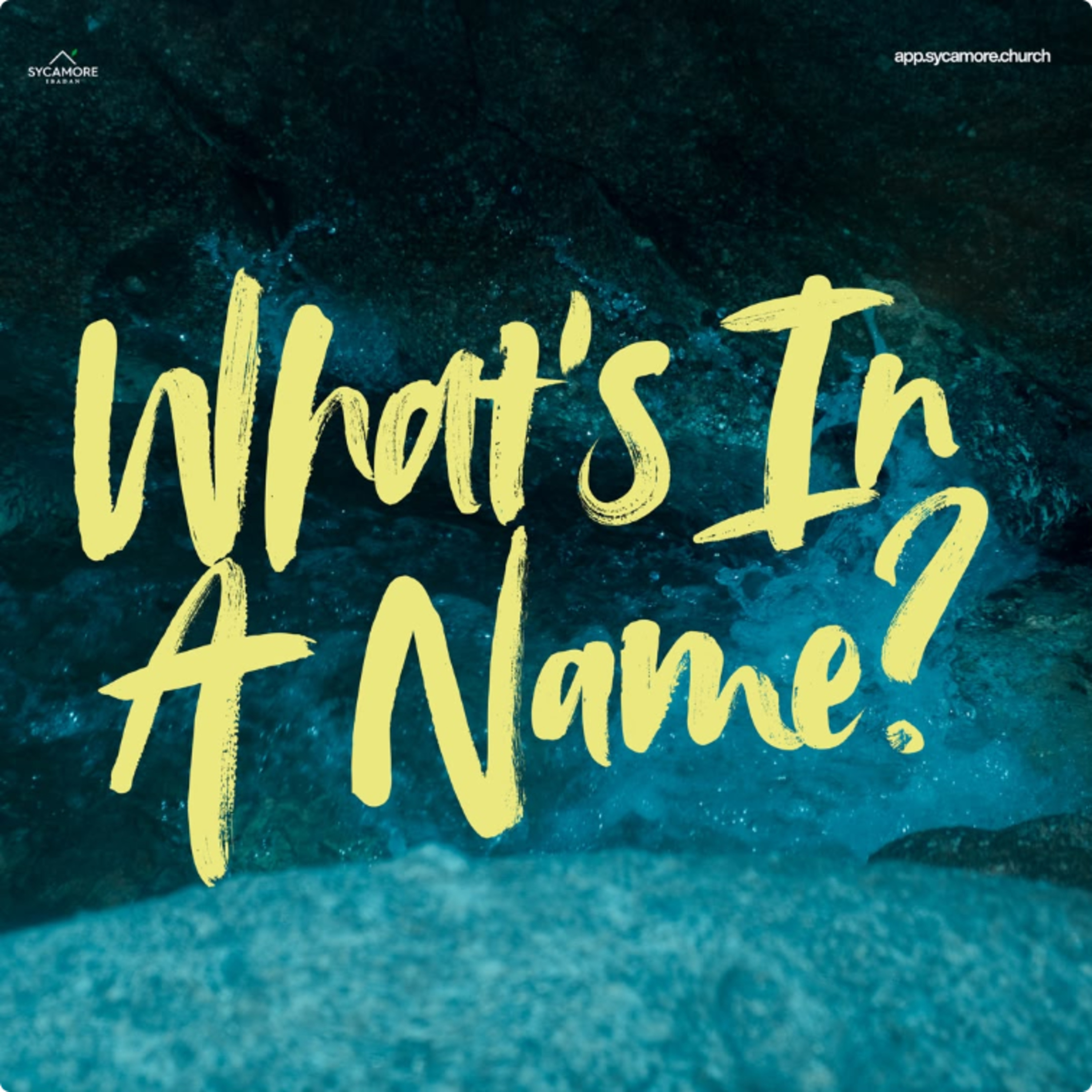 What's In A Name? | Adebola Moody episode artwork
