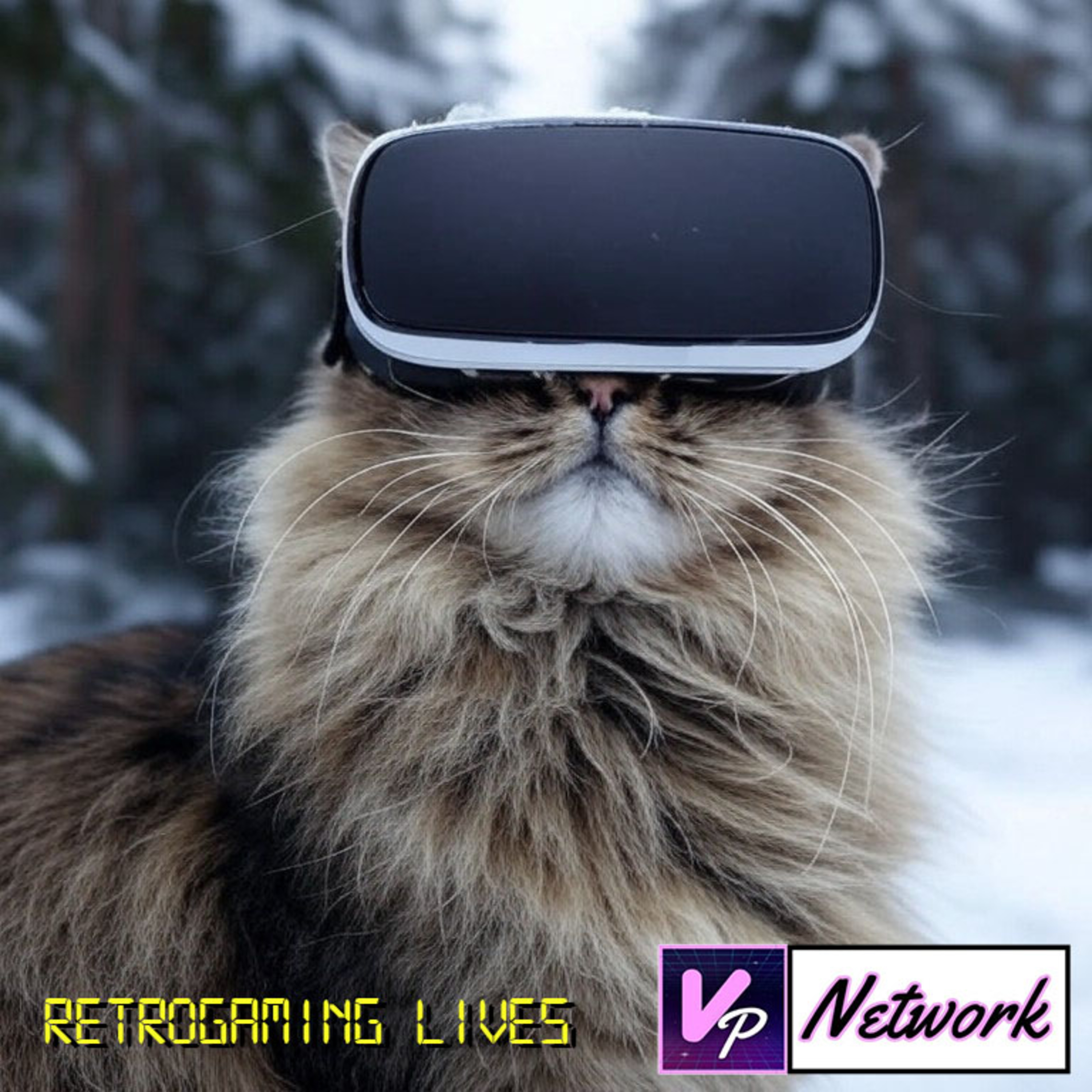 Retrogaming Lives