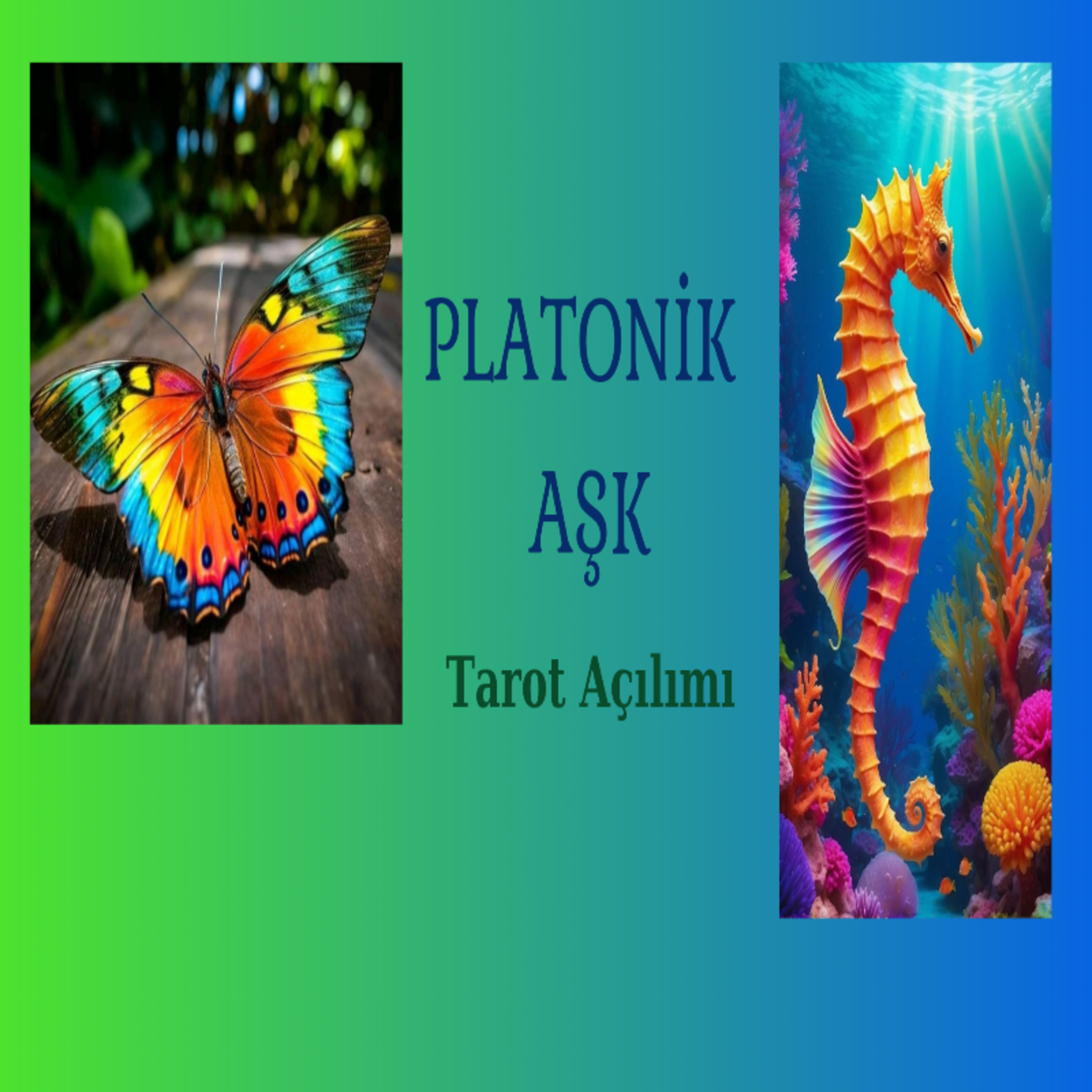 Platonik Aşk Tarot Açılımı 💌 Deste Seç 🦋🦭