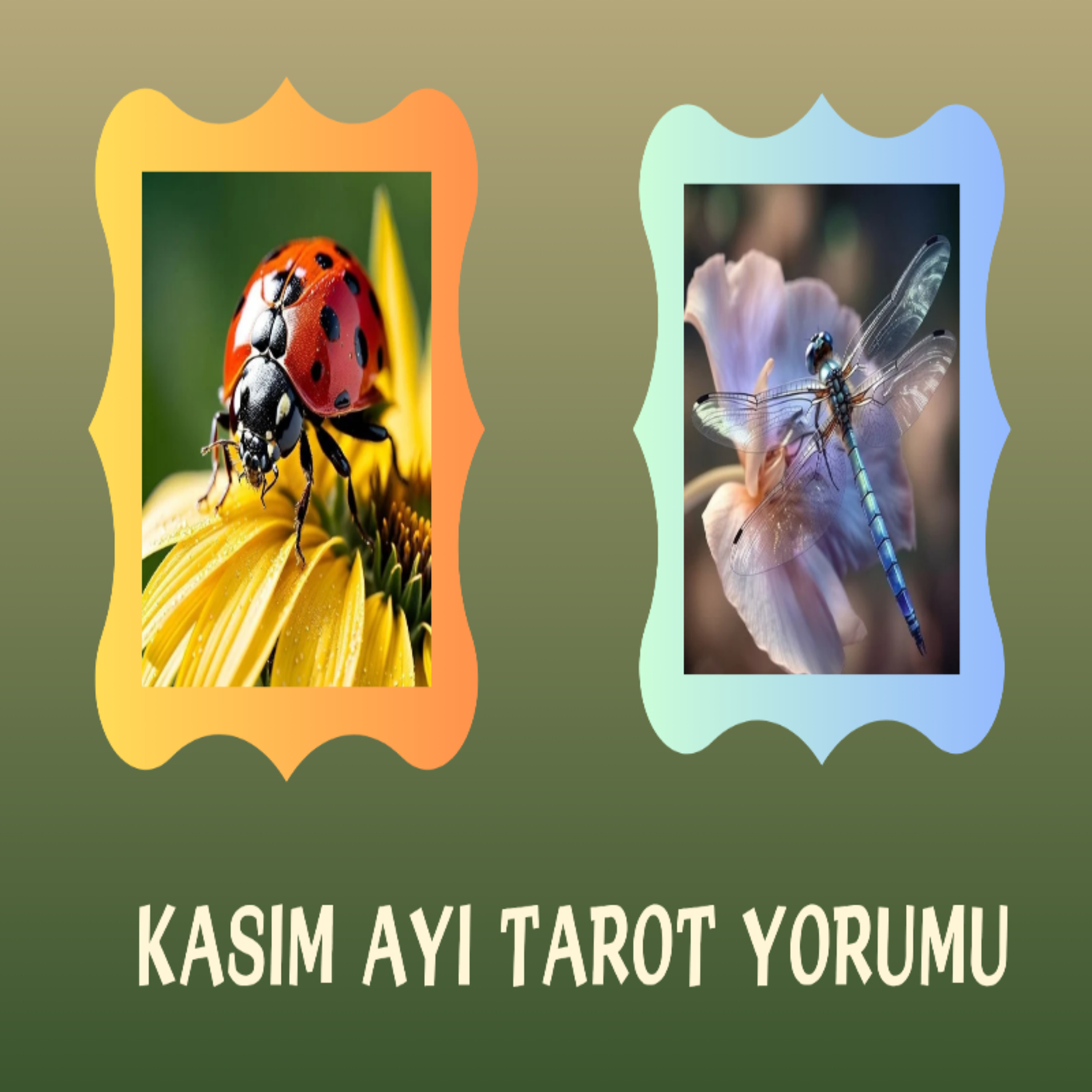 Kasım Ayında Sizi Bekleyen Enerjiler Ne Yönde?Tarot Deste Seç 🐞🐝 episode artwork