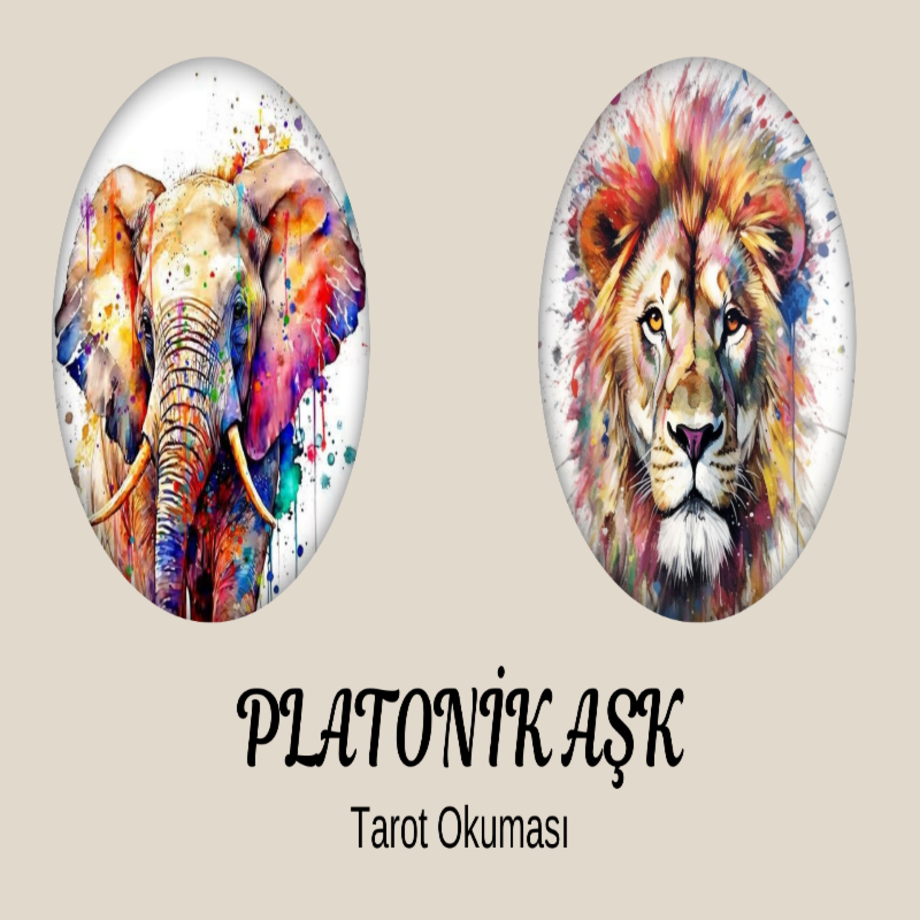 Platonik Aşk Tarot Okuması/Deste Seç 🐘🐆 episode artwork