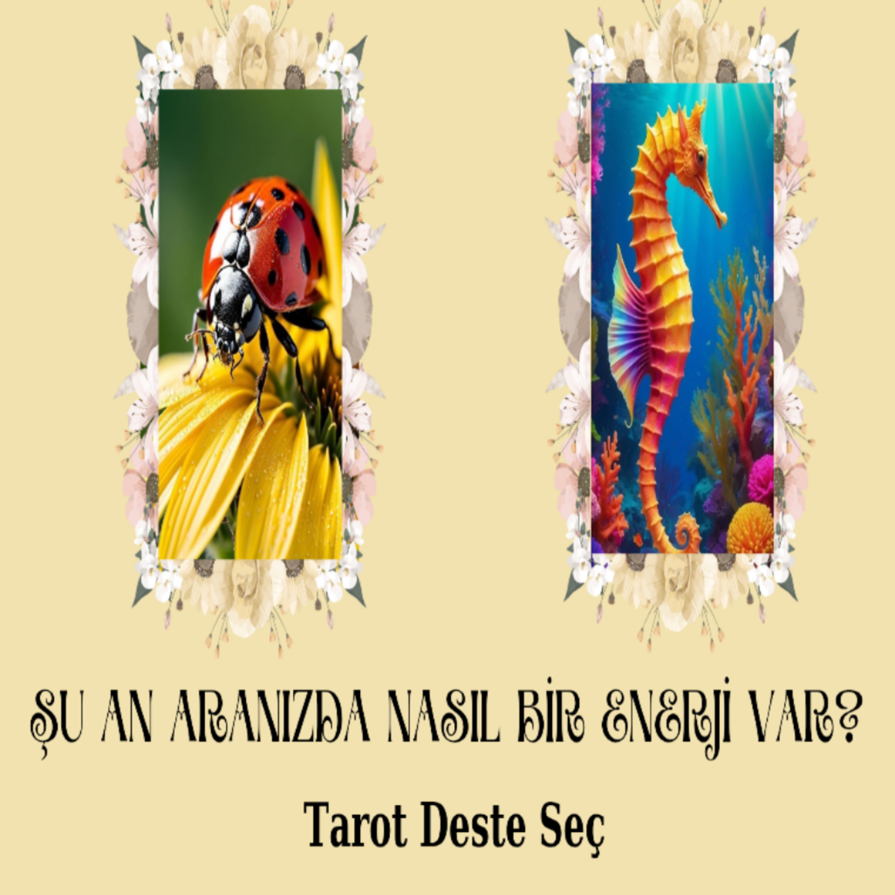 Aranızda neler oluyor?Tarot mesajları için deste seç