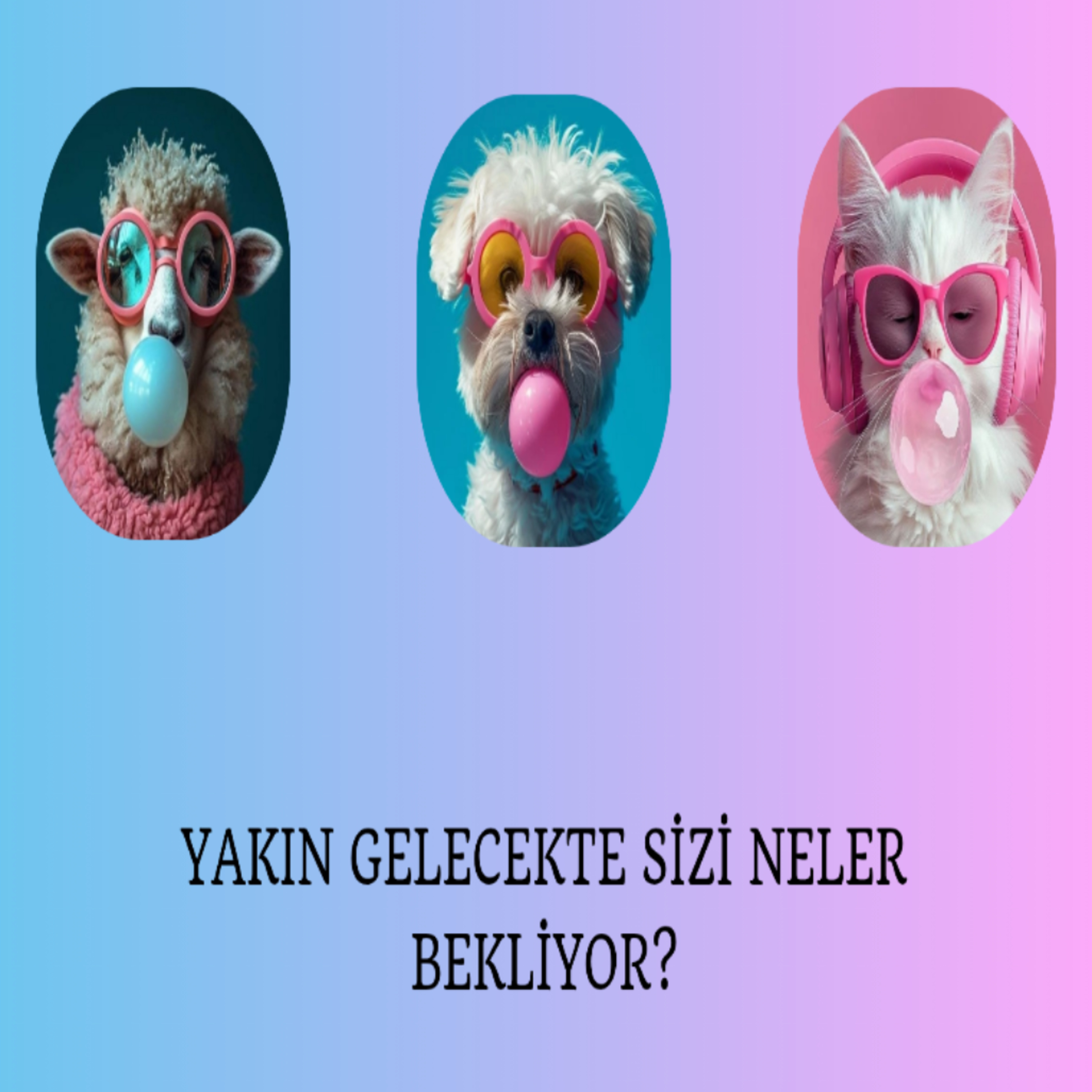 Yakın zamanda ne gibi olaylar,kişiler,durumlar sizi bekliyor?Tarot deste seç 🐑🐕🐈 episode artwork