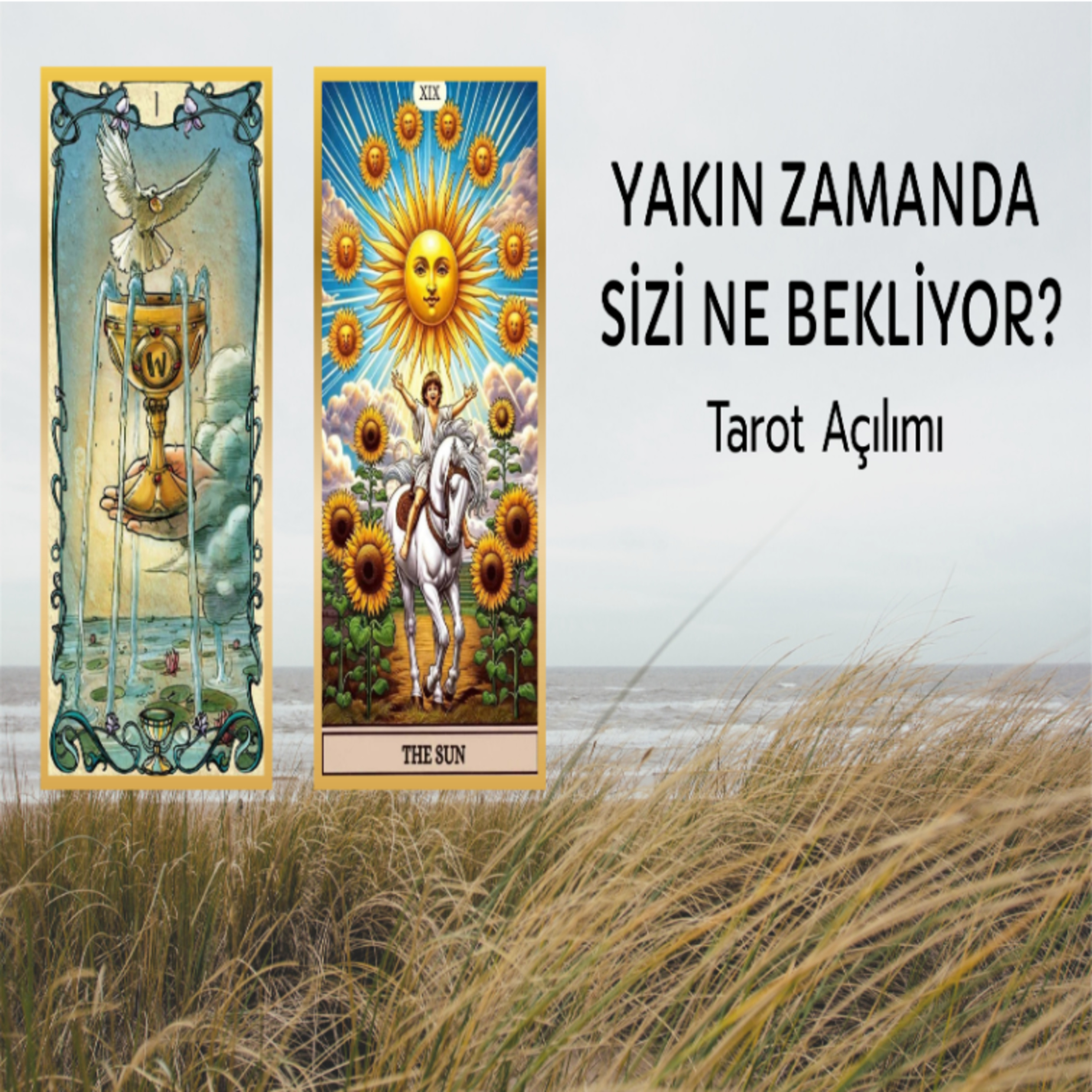 Şu anda ne durumdasınız ve yaklaşan etkilerde sizi ne bekliyor?Tarot uyarıları ve mesajları episode artwork
