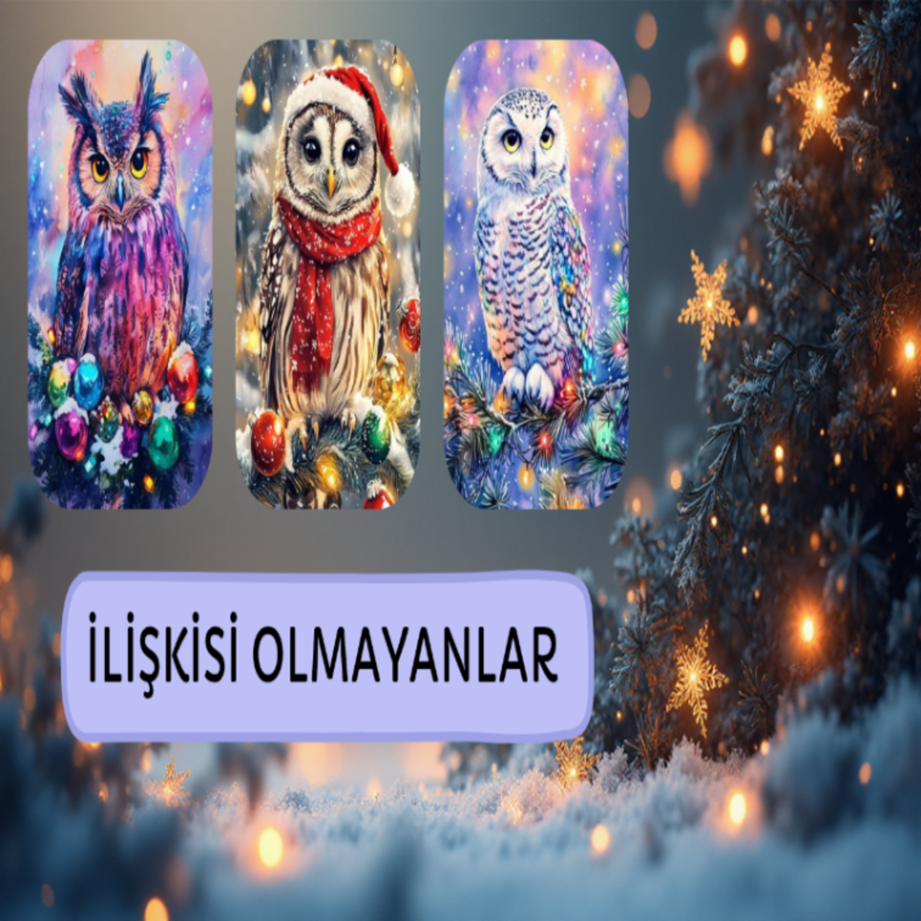 İlişkisi Olmayanlar/Yalnız Olanlar İçin Tarot Okuması  episode artwork
