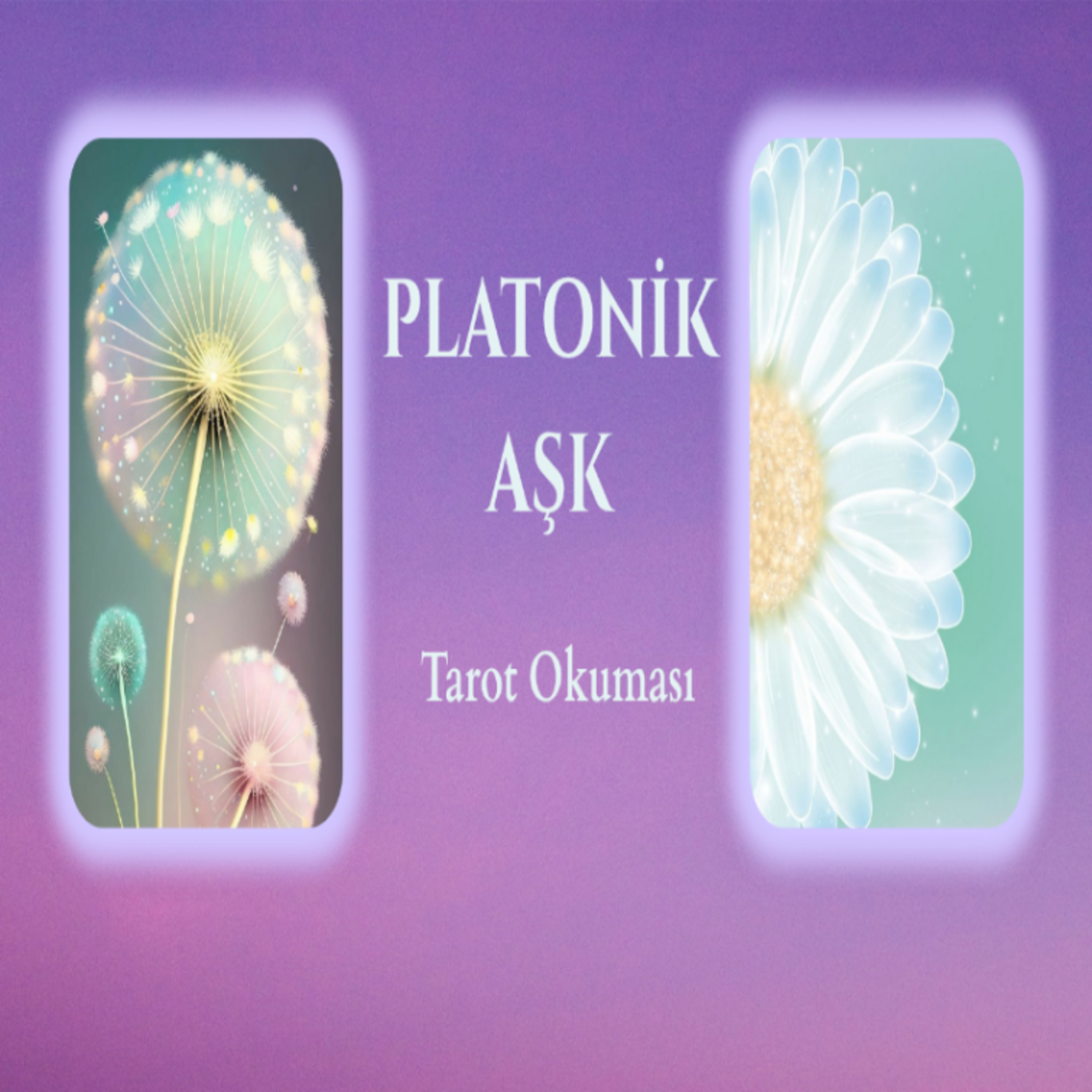 Platonik Olduğunuz Kişiyle Şu An Aranızda Nasıl Bir Enerji Var?Tarot Deste Seç 🏵🌸 episode artwork