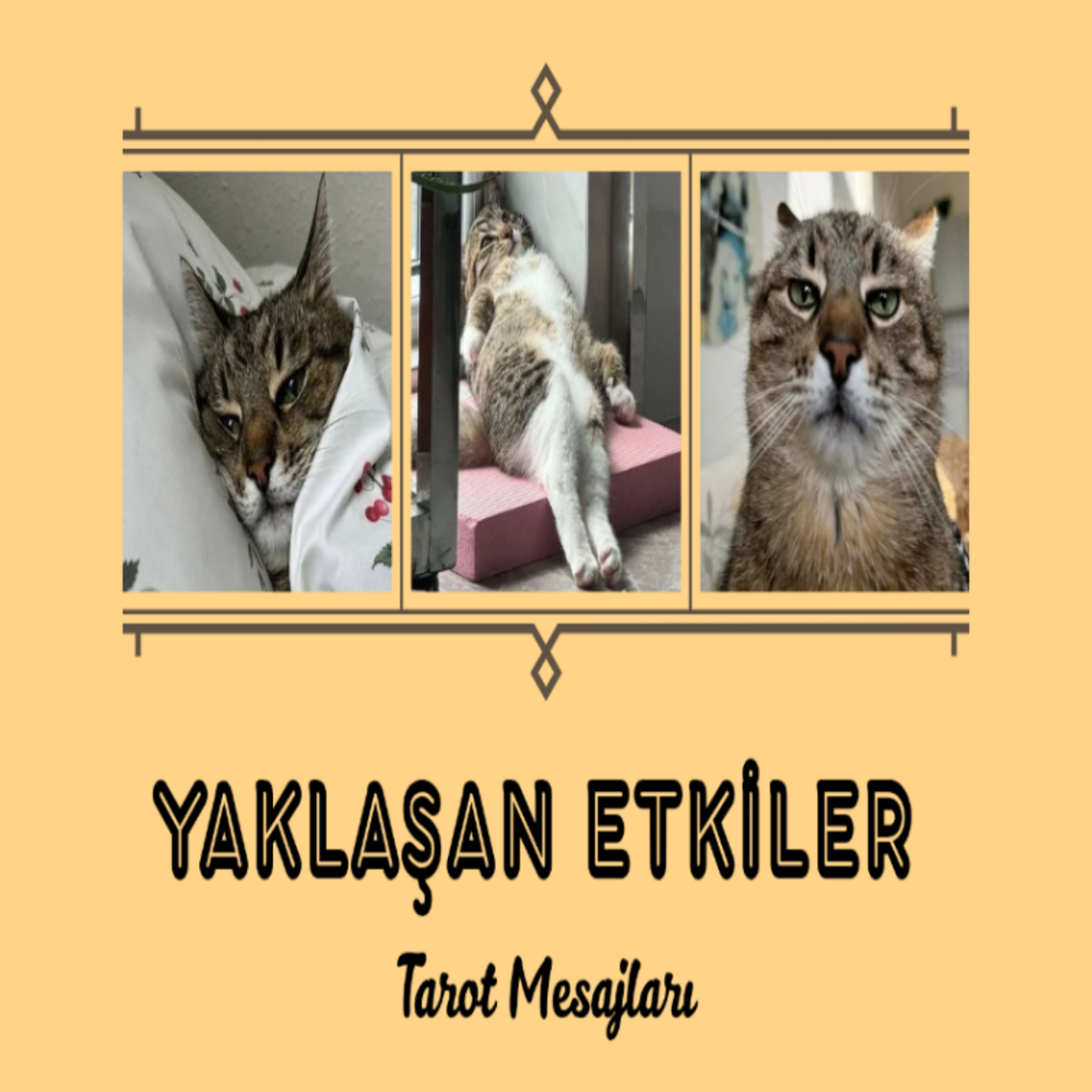 Yakın Gelecekte Sizi Hangi Uyarılar Ve Müjdeler Bekliyor?Tarot Destesi Seç 🔮🐈 episode artwork
