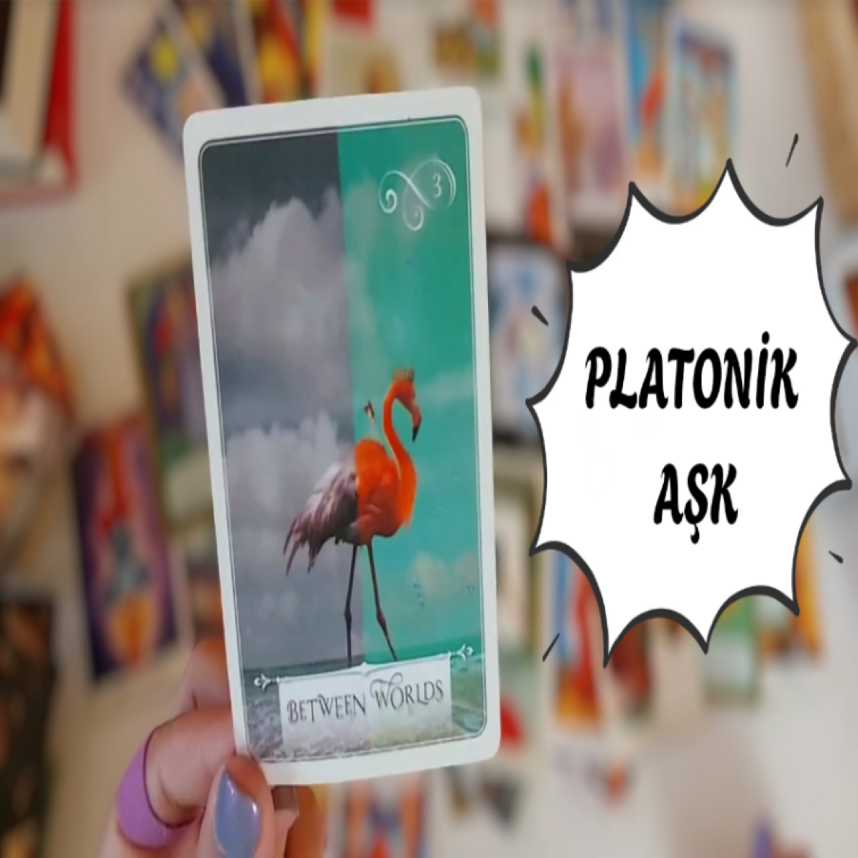 Platonik Olduğunuz Kişiyle Şu An Aranızda Nasıl Bir Enerji Var?Tarot Okuması 💞 episode artwork