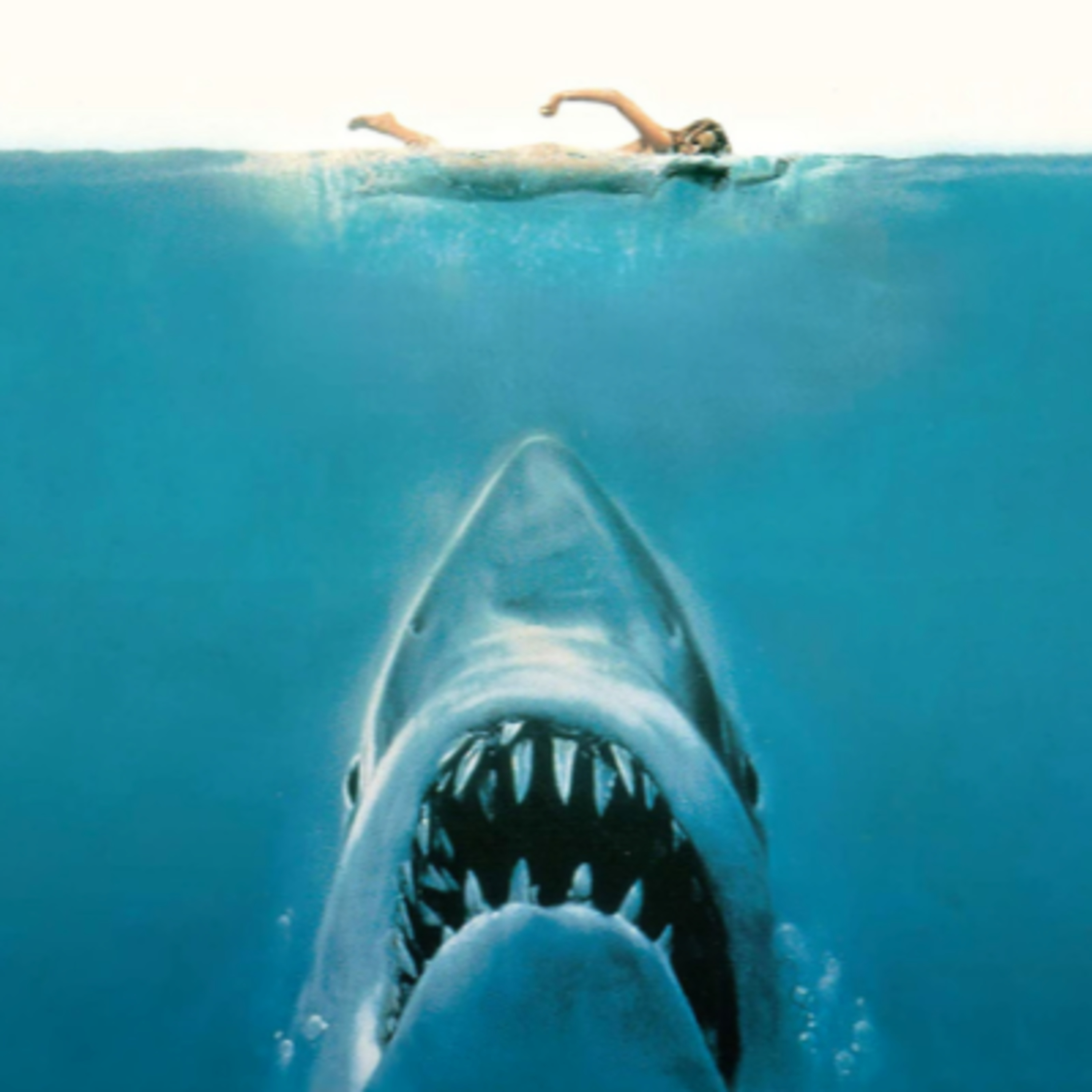 EcoTerror y Animales Letales: Cine vs Realidad | Charlando en el Camarote episode artwork