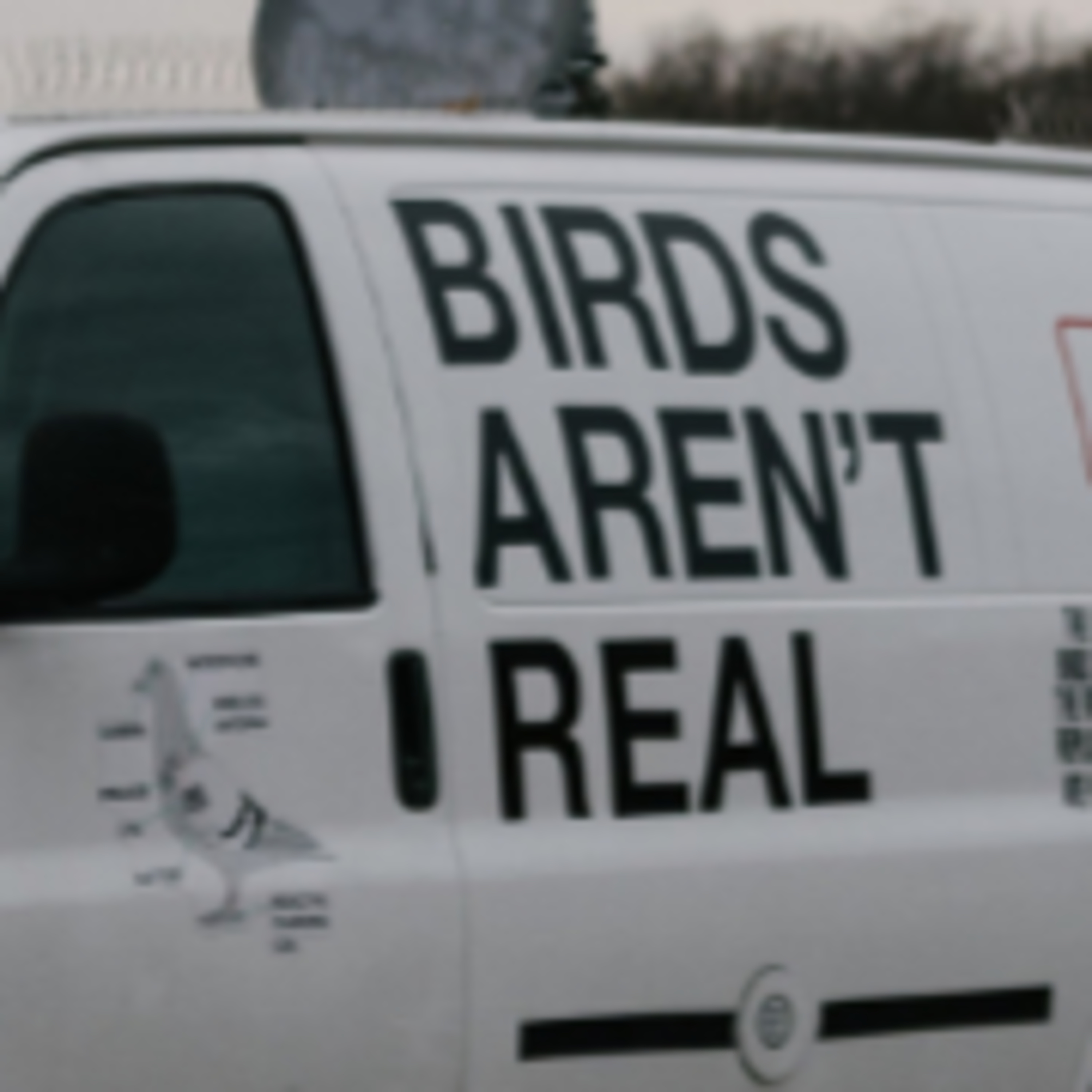 Los Pájaros No son Reales. Ornitología y Humor | Charlando en el Camarote episode artwork