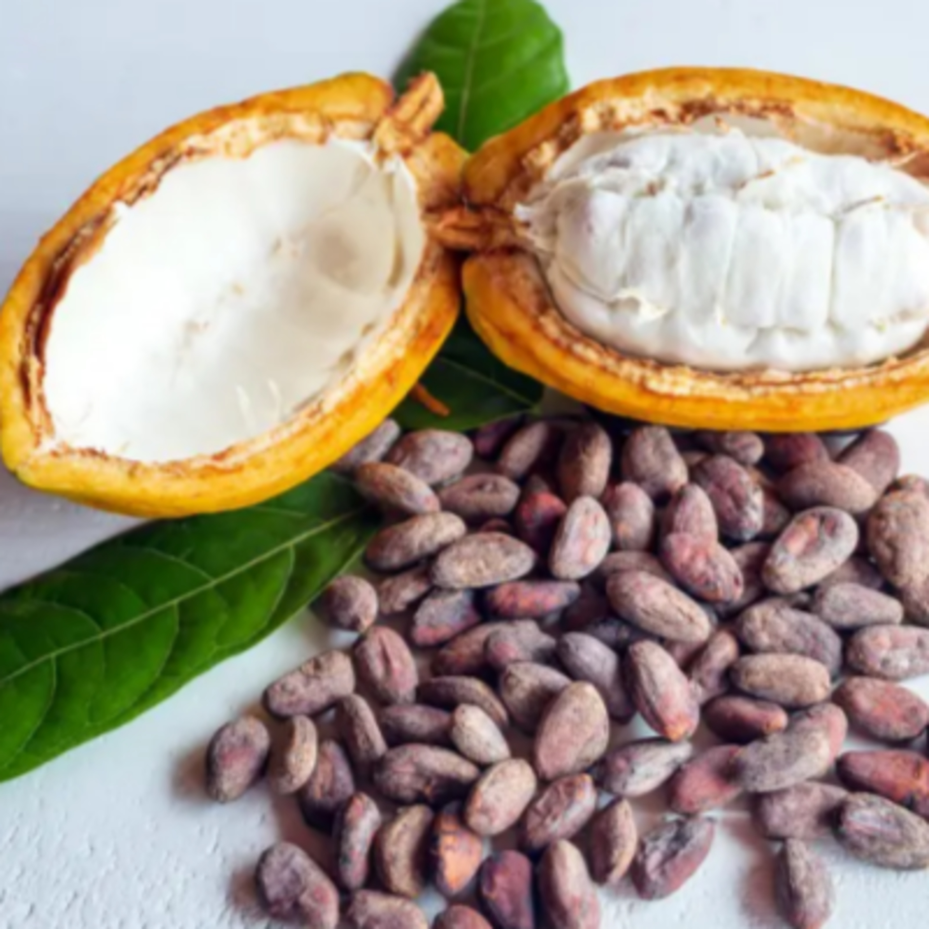 Un Mundo Sin Chocolate ¿Se acaba el Cacao? | Charlando en el Camarote episode artwork