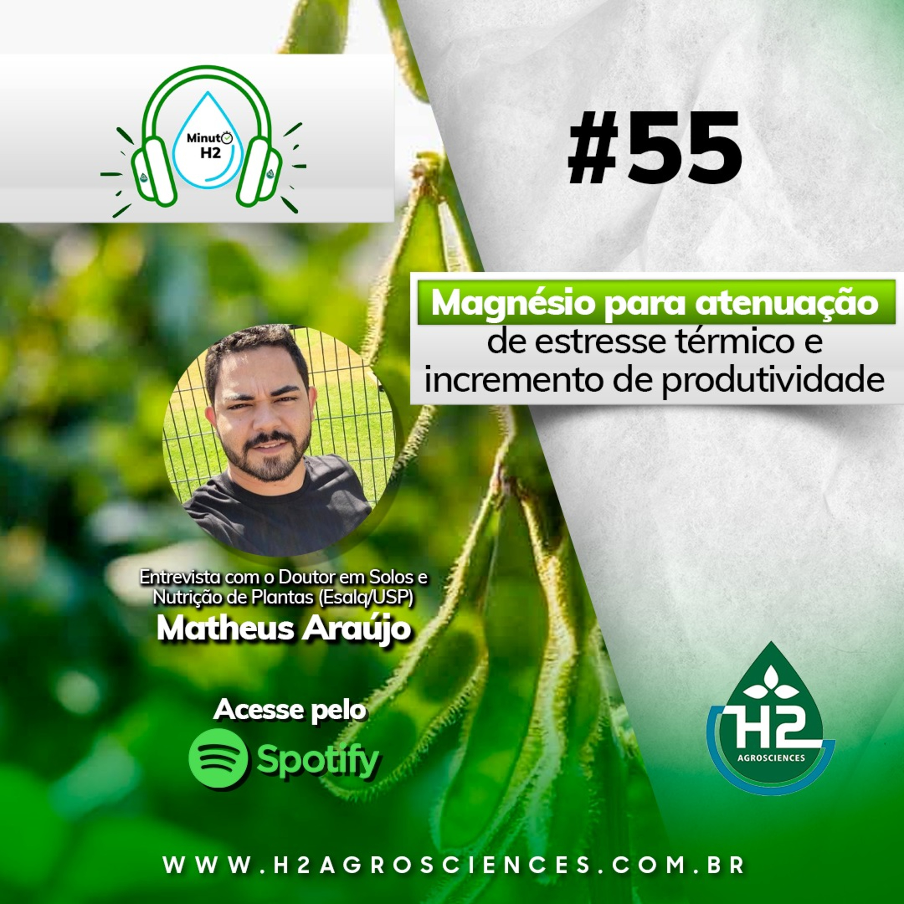 Magnésio para atenuação de estresse térmico e incremento de produtividade