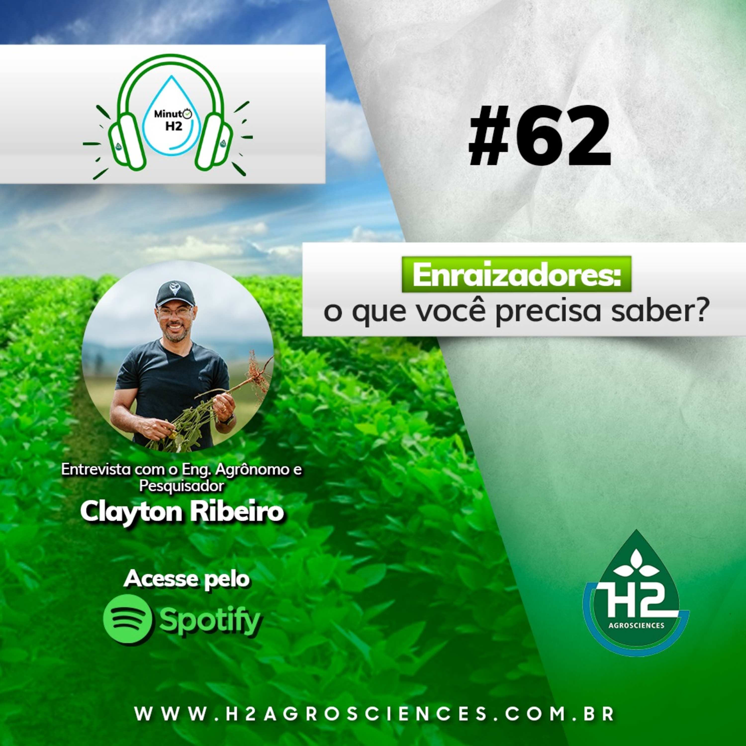Enraizadores: o que você precisa saber?