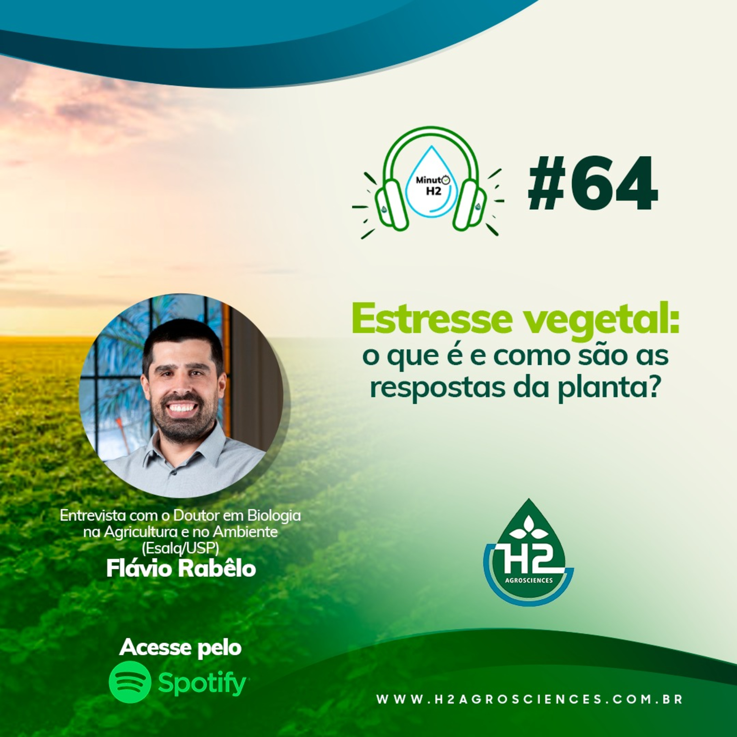 Estresse vegetal: o que é e como são as respostas da planta?