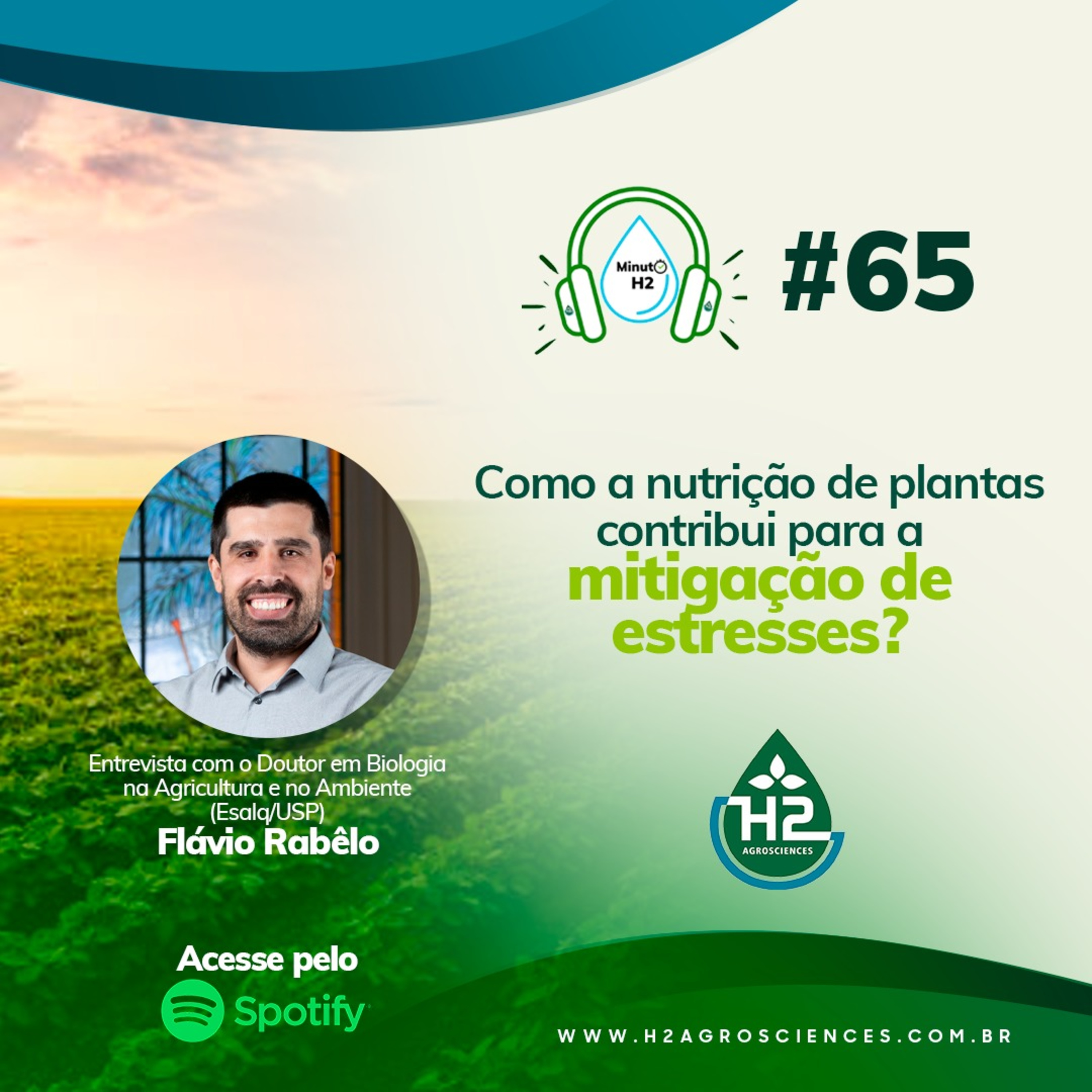 Como a nutrição de plantas contribui para mitigação de estresses?