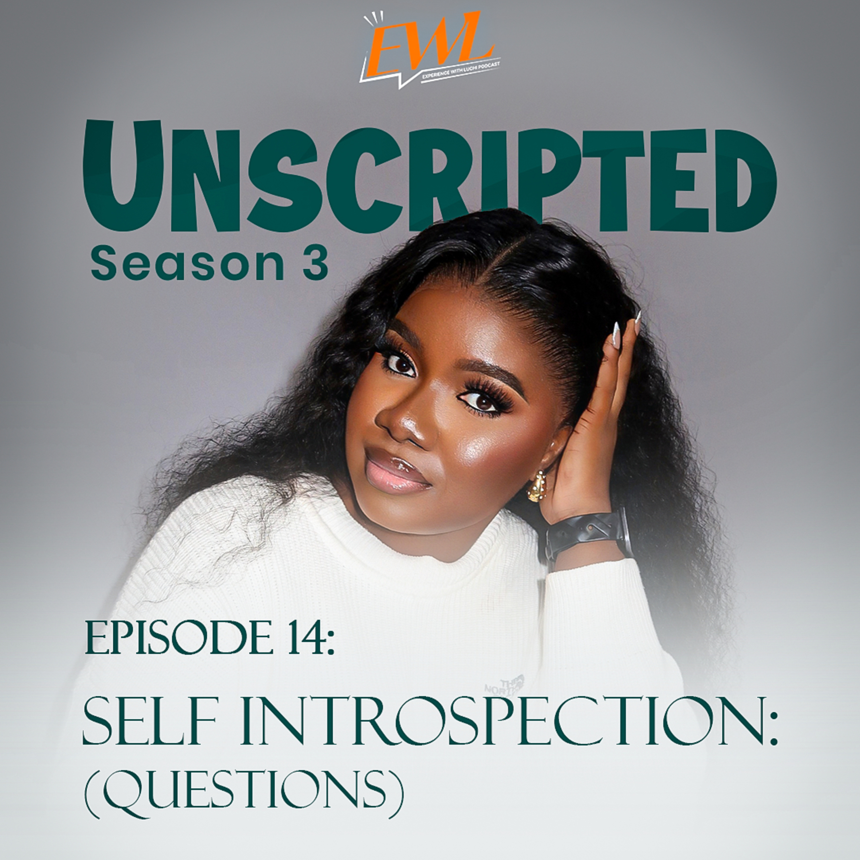 Self Introspection (Questions ) episode artwork