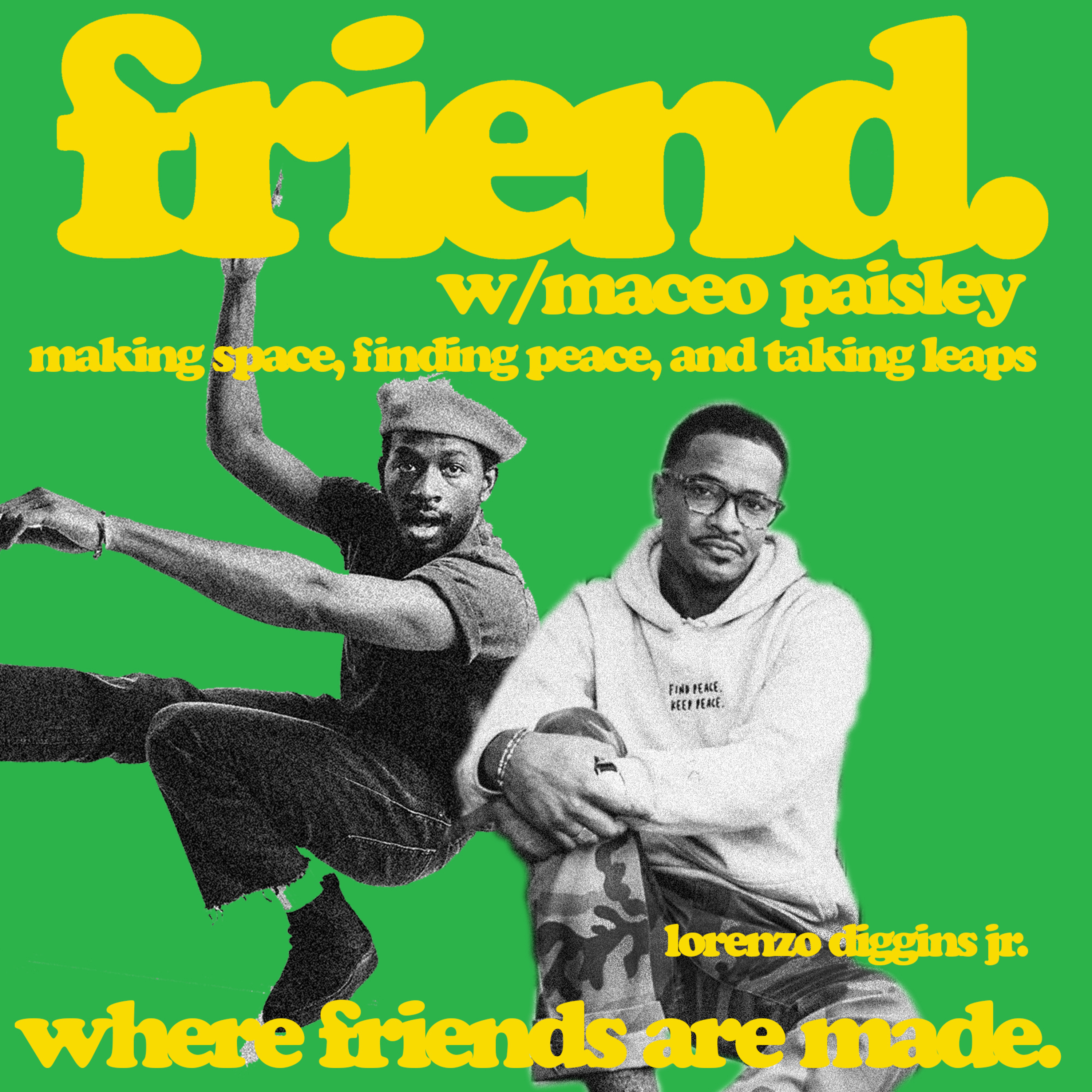 The Friend Show