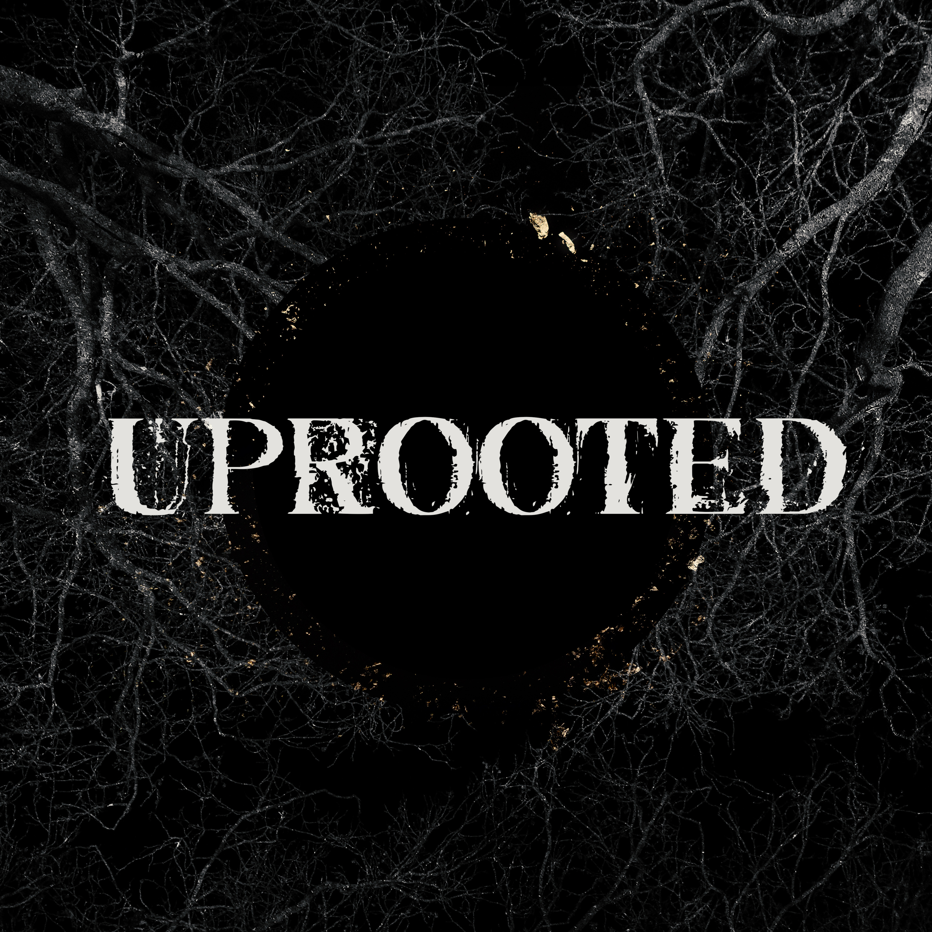 Unbelief | Uprooted | Aaron Pennington - Lead Pastor episode artwork