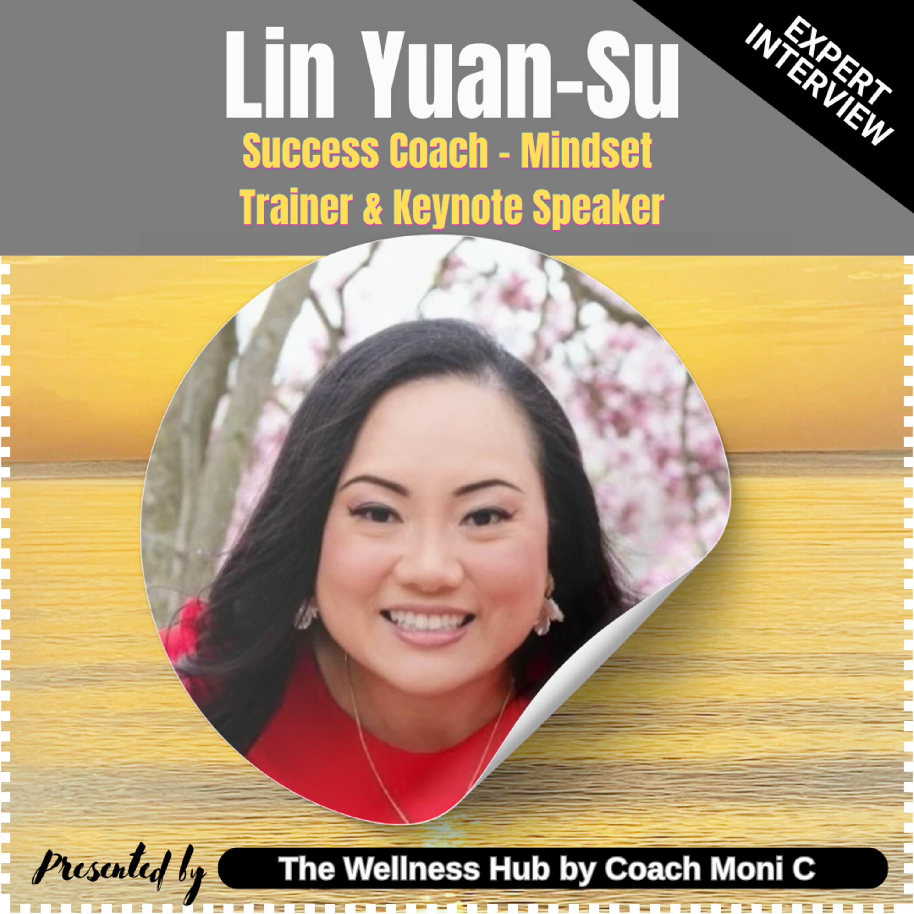 Mind Your Own...Mind - Interview w/ Lin Yuan-Su (Success Coach, Mindset Trainer & Keynote Speaker) episode artwork