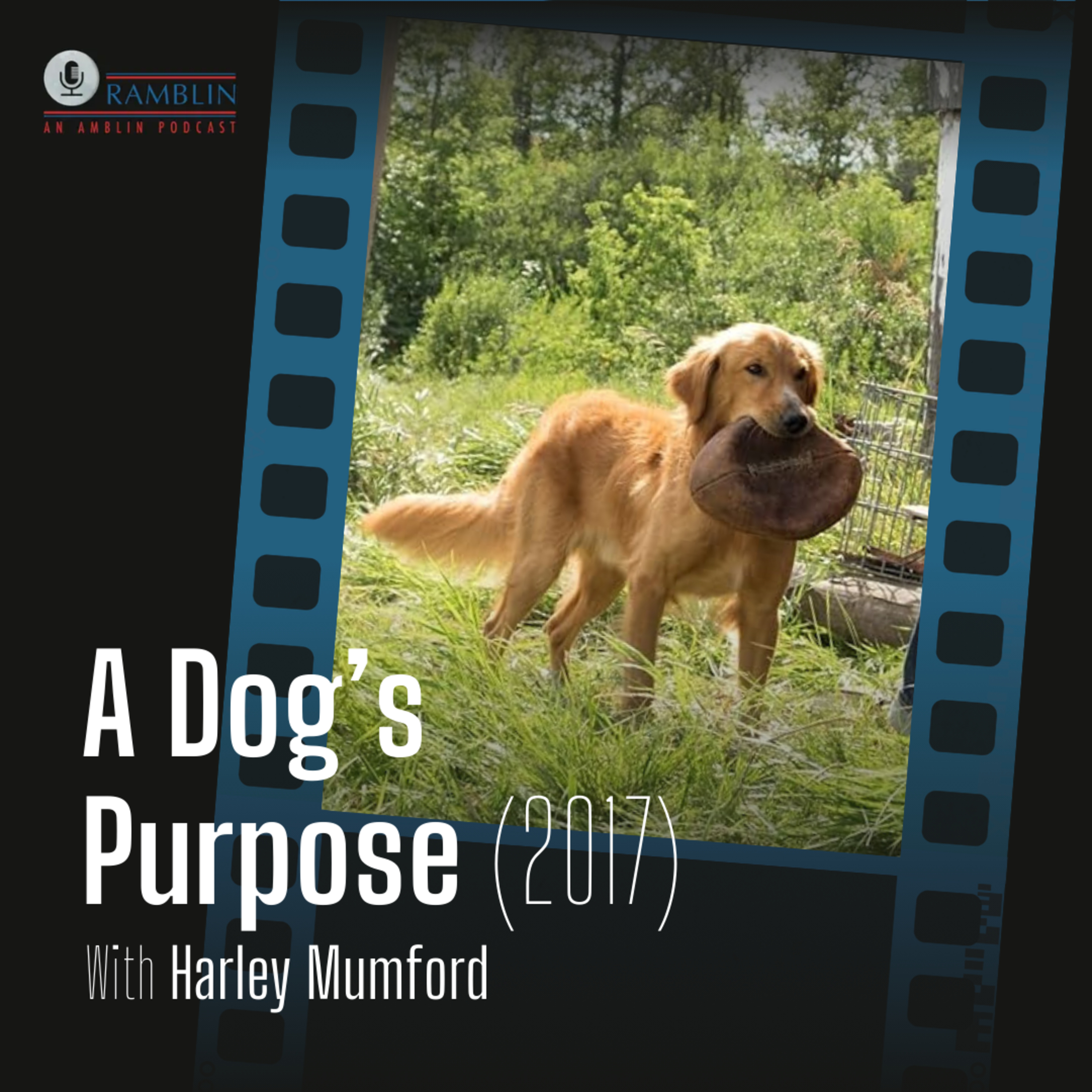 A Dog's Purpose (2017) with Harley Mumford episode artwork