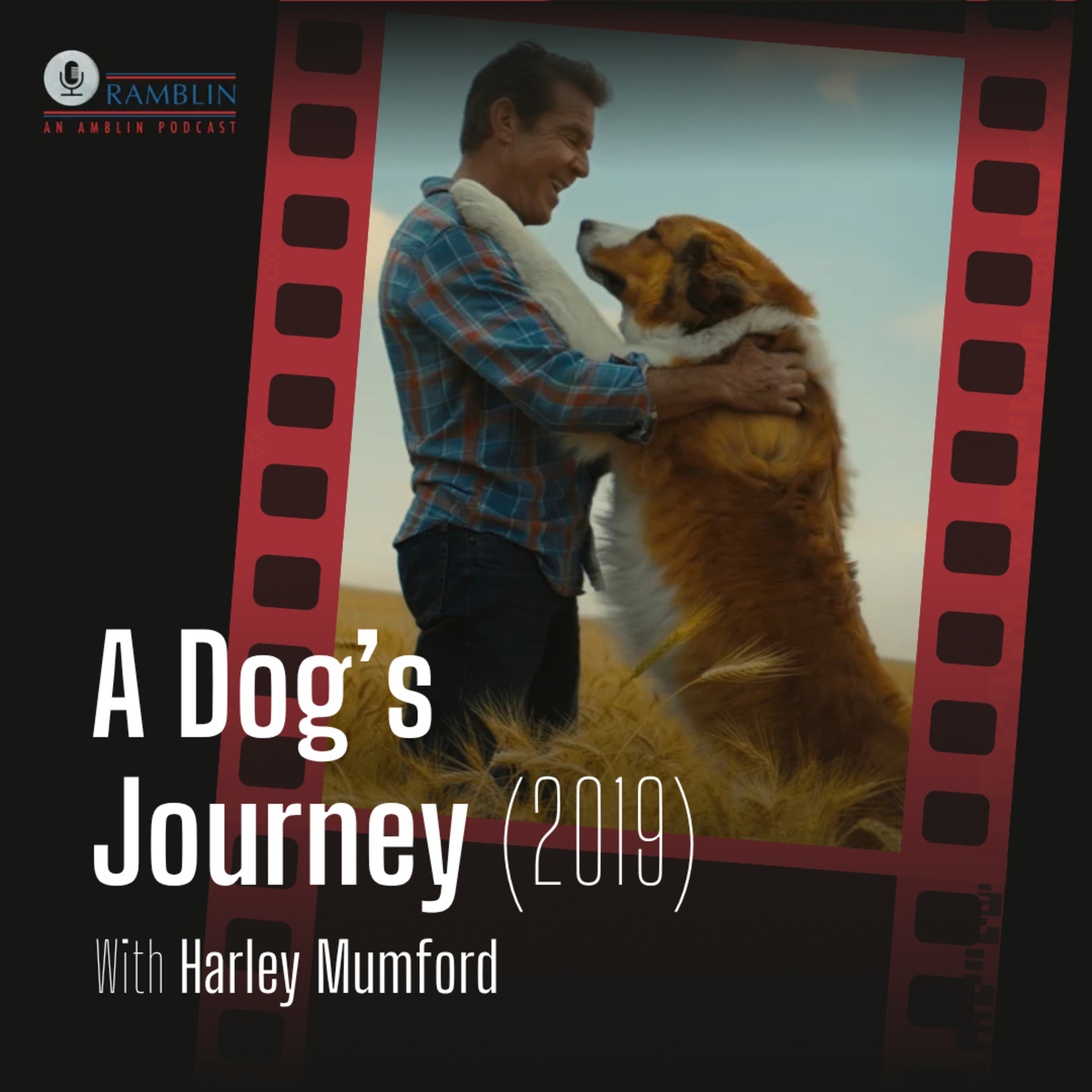 A Dog's Journey (2019) with Harley Mumford episode artwork
