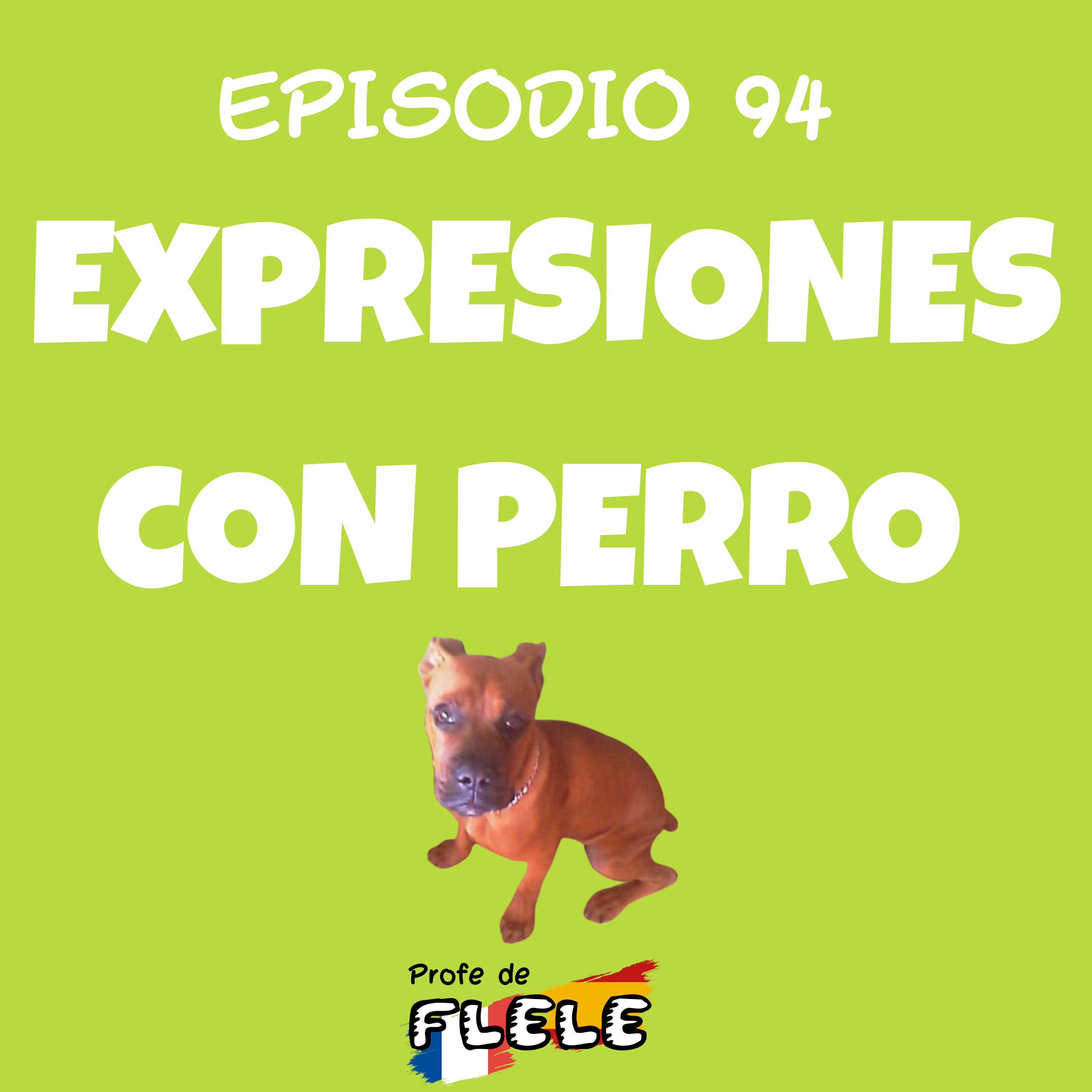 ESPAÑOL EN TU BOLSILLO
