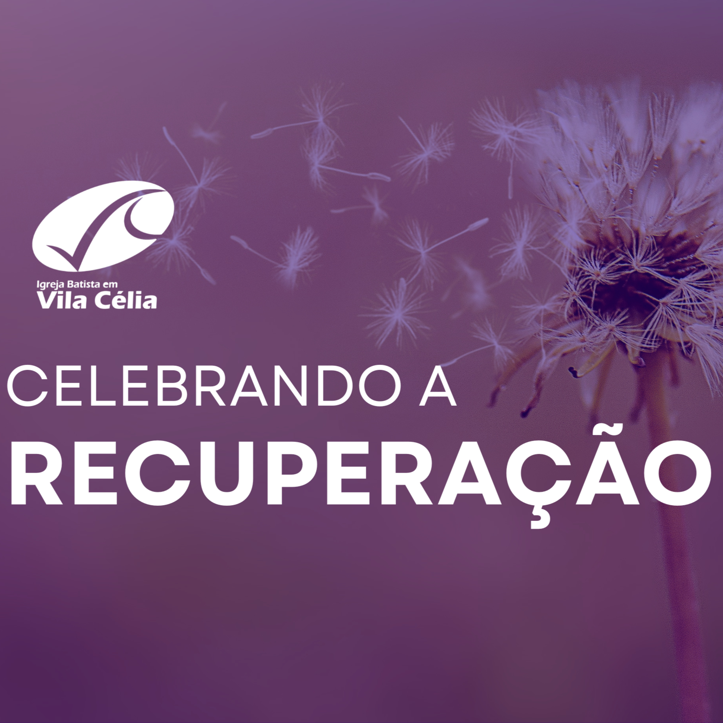 Vila PodCast!